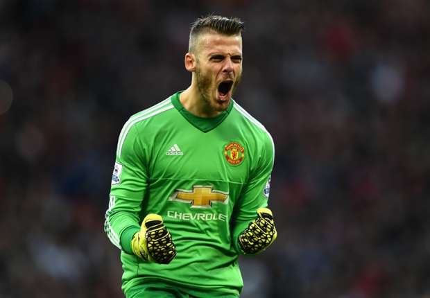 daviddegea-cropped_1hw3cwxnsi2ae19bfgewocxb0t.jpg