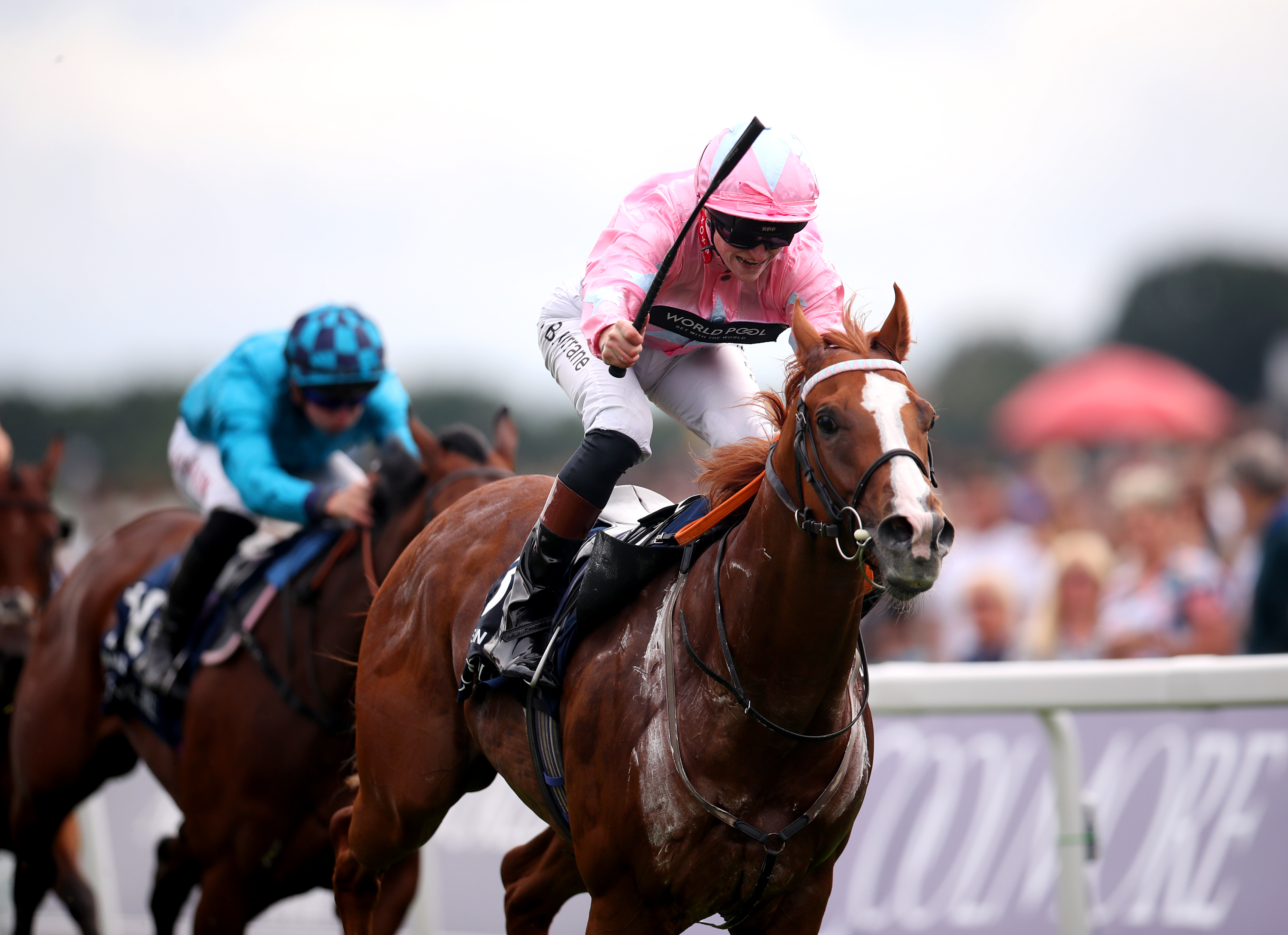 Live In The Dream dazzled at York when winning the Nunthorpe
