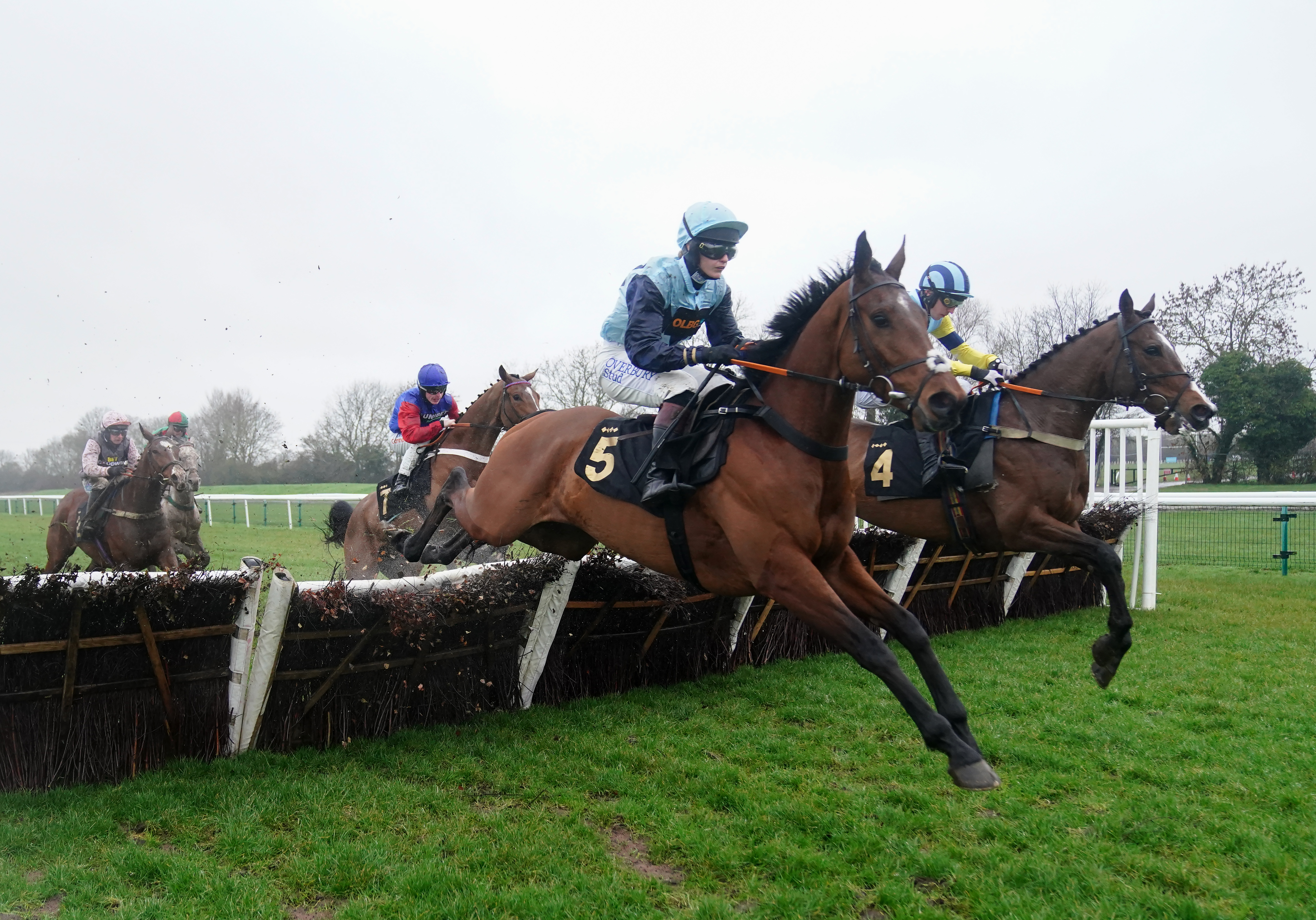 Nordic Tiger winning the Mulberry Developments Novices’ Handicap Hurdle