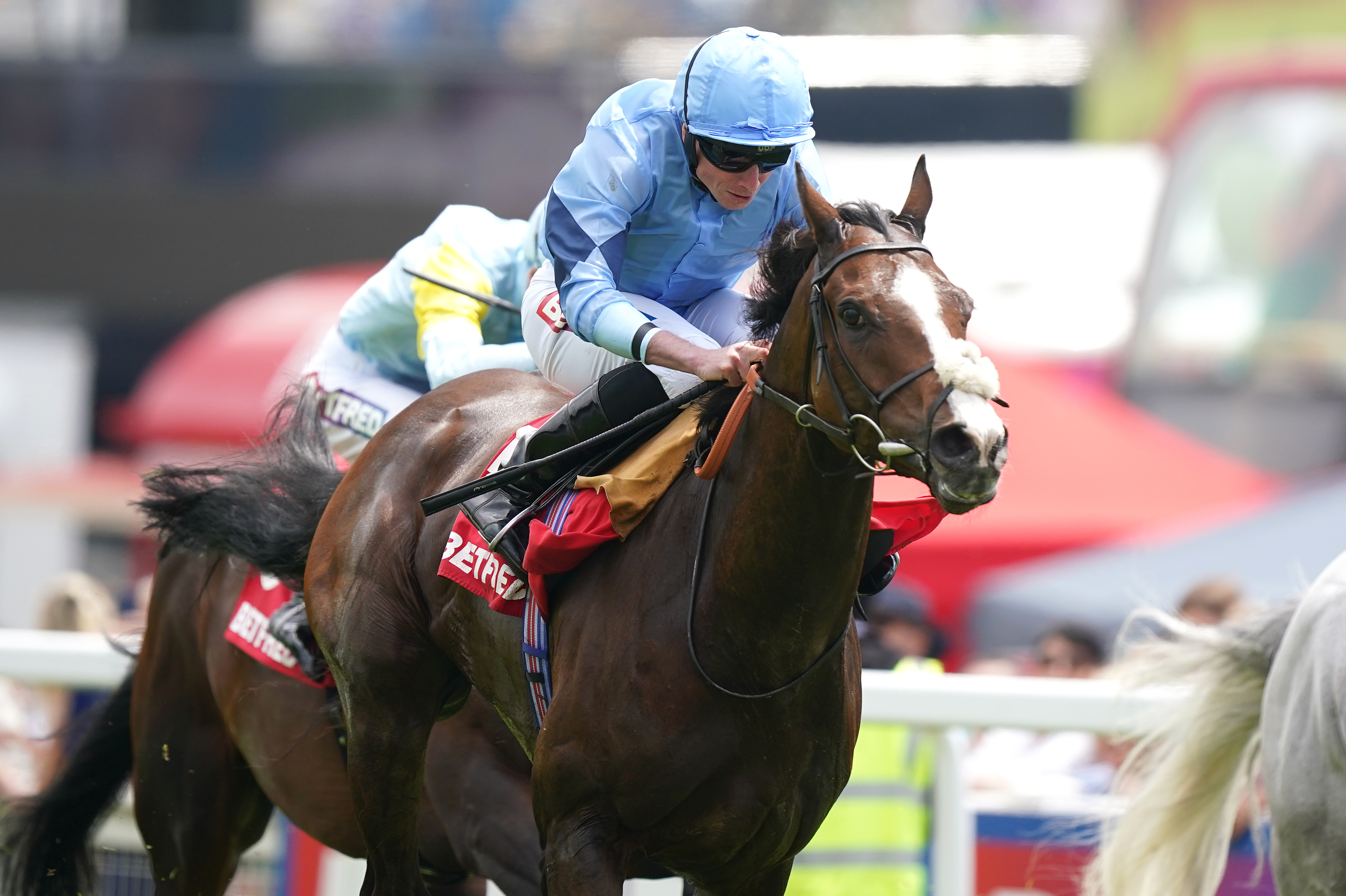 Regal Reality has been a fine servant to his connections