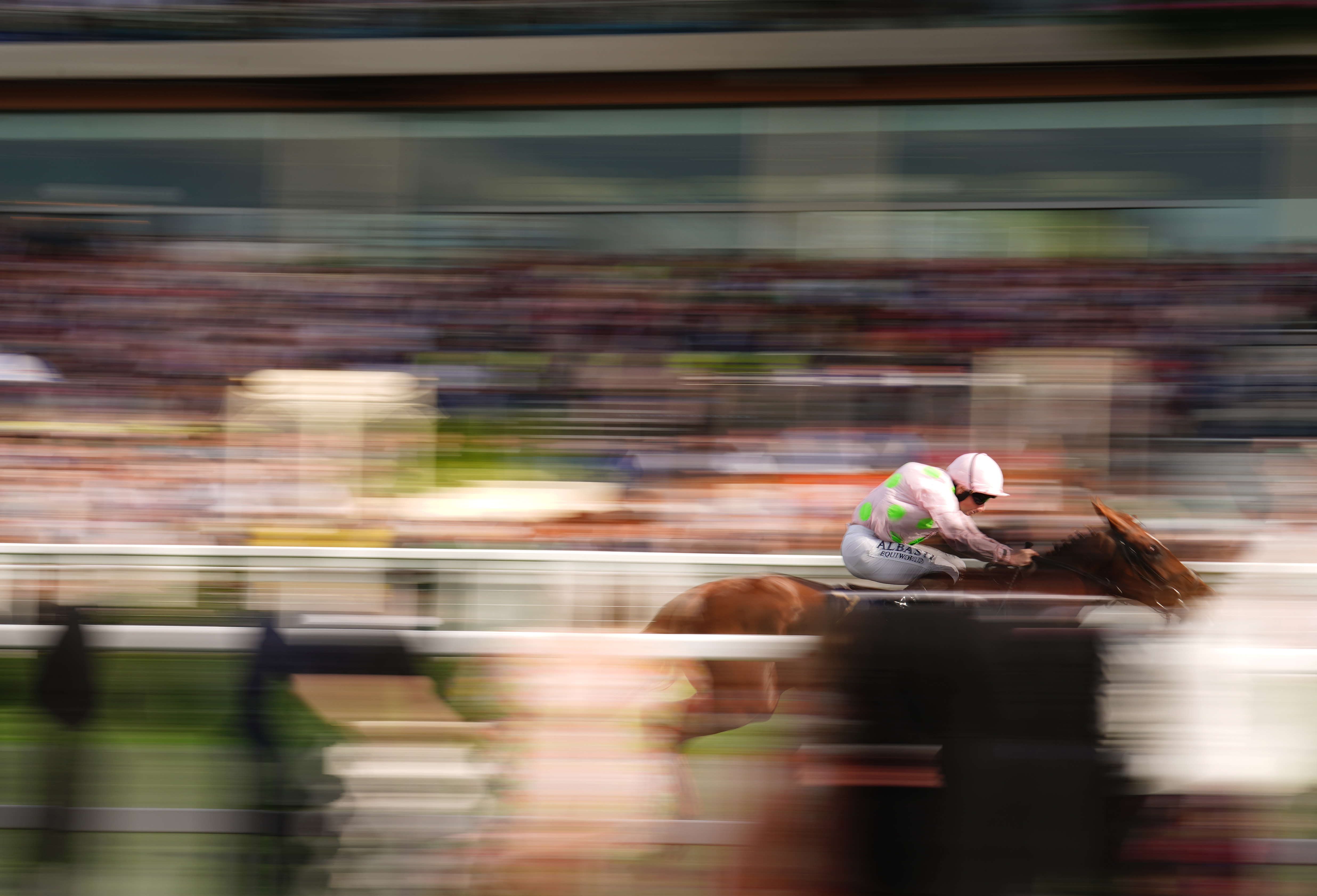 Vauban created a real impression at Royal Ascot
