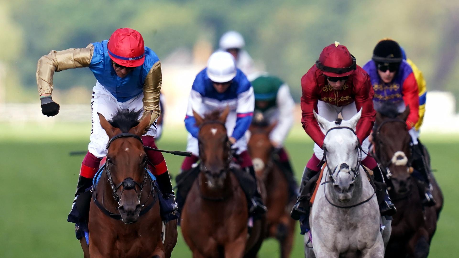 Gregory team maintain St Leger faith despite York defeat LiveScore