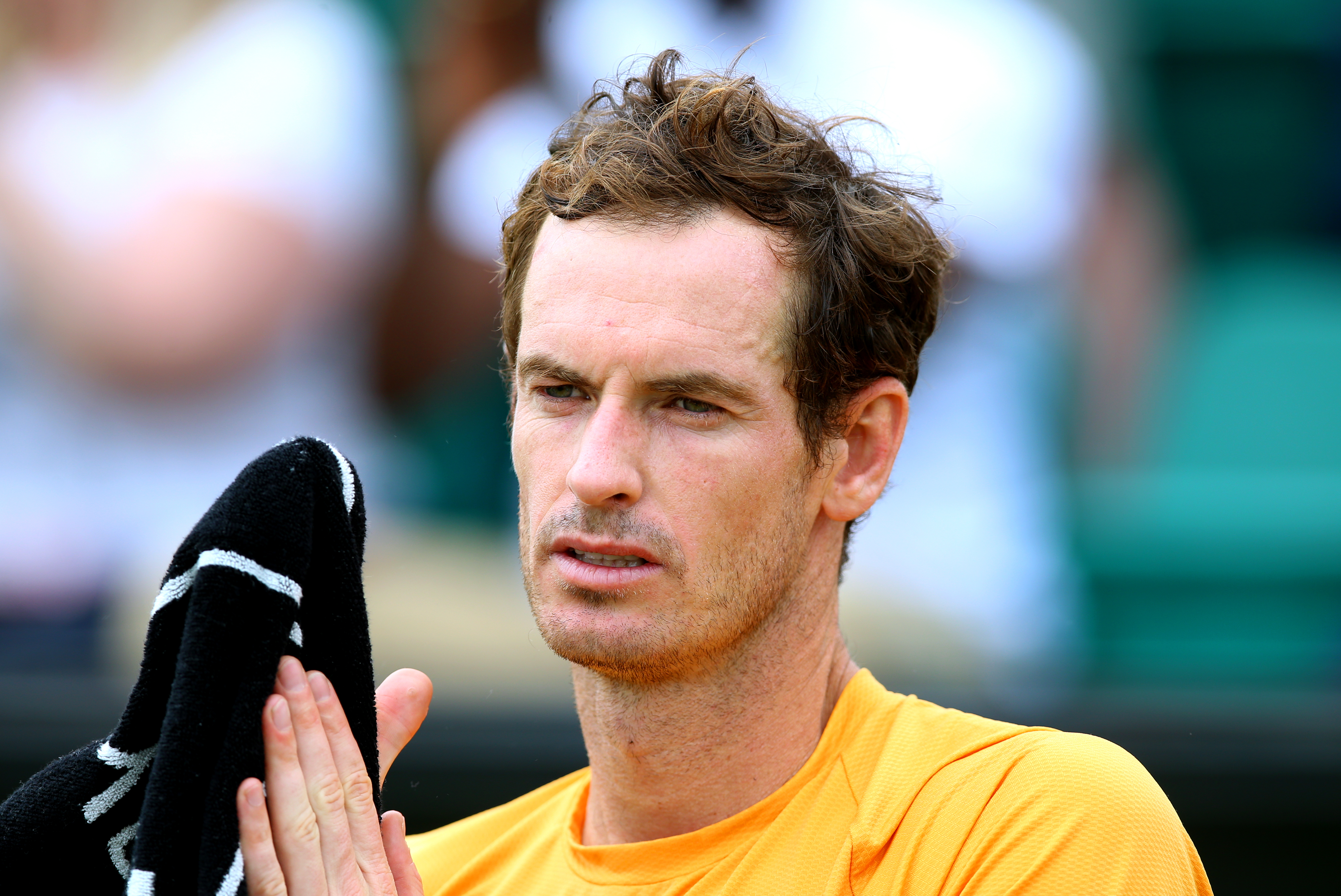 Andy Murray is having his best season since hip surgery