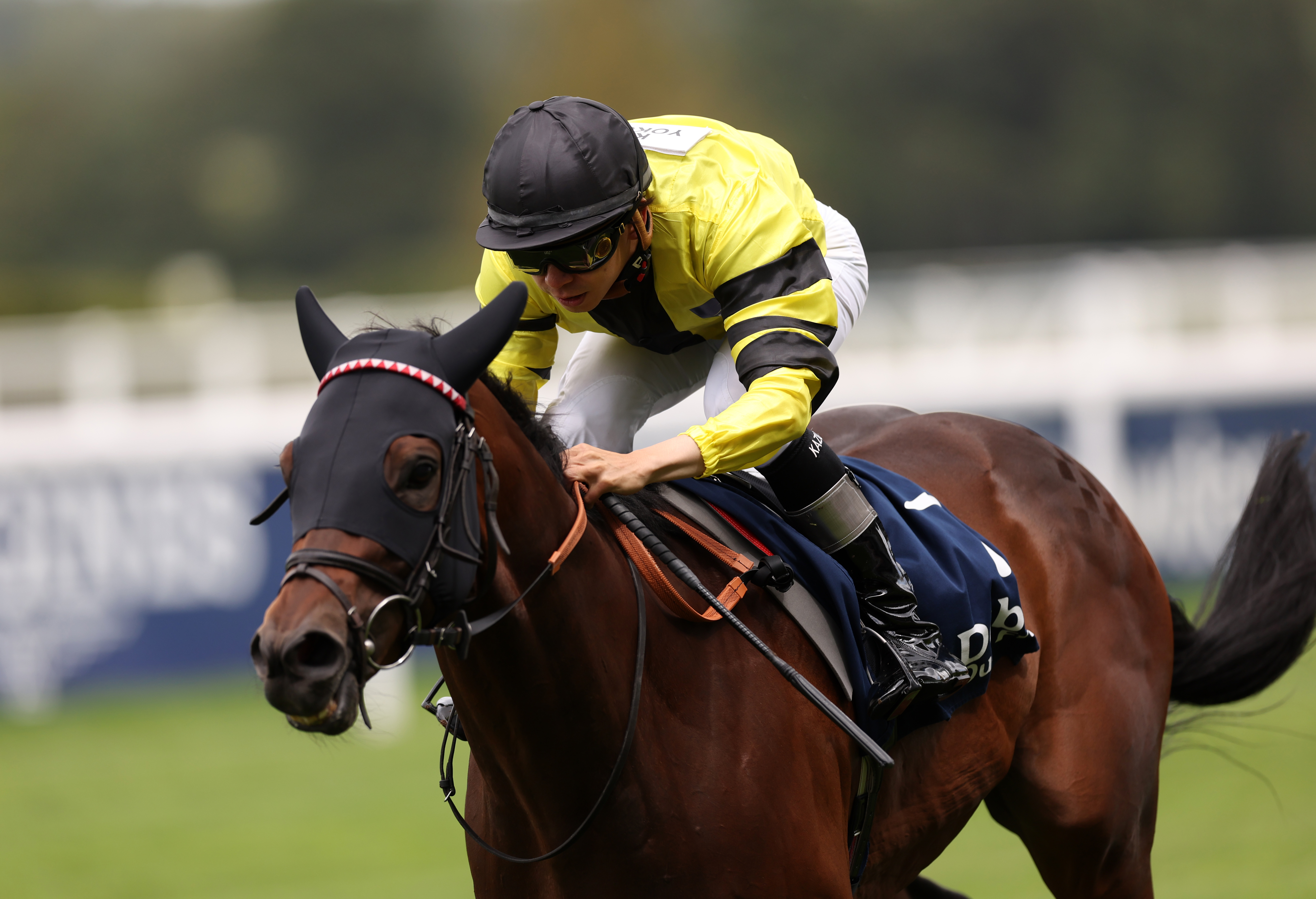 Rogue Lightning winning in the colours of the Rest of the World during Ascot's Shergar Cup meeting