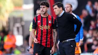 Senesi to leave Bournemouth on a free transfer