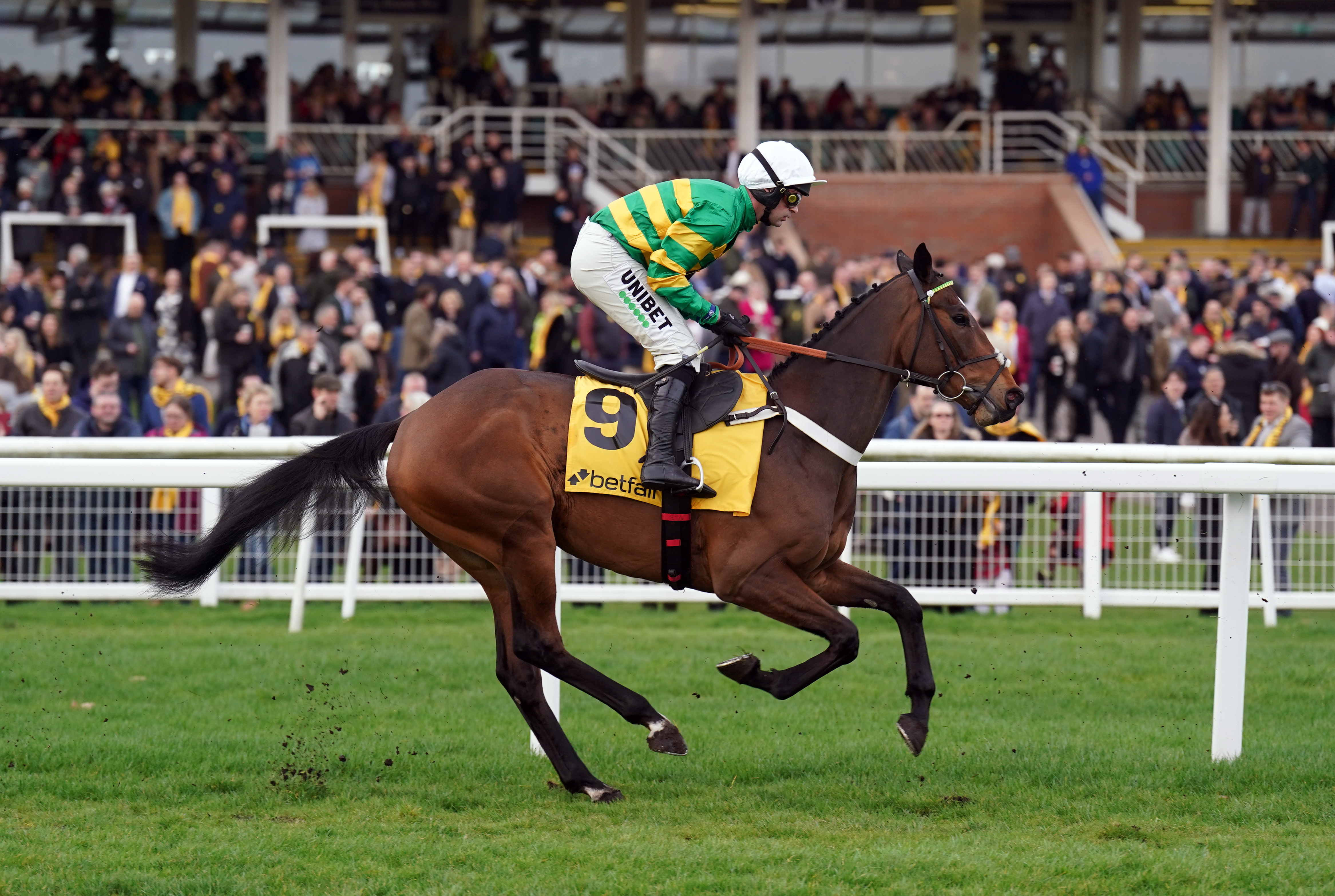 Iberico Lord on his way to post for the Betfair Hurdle