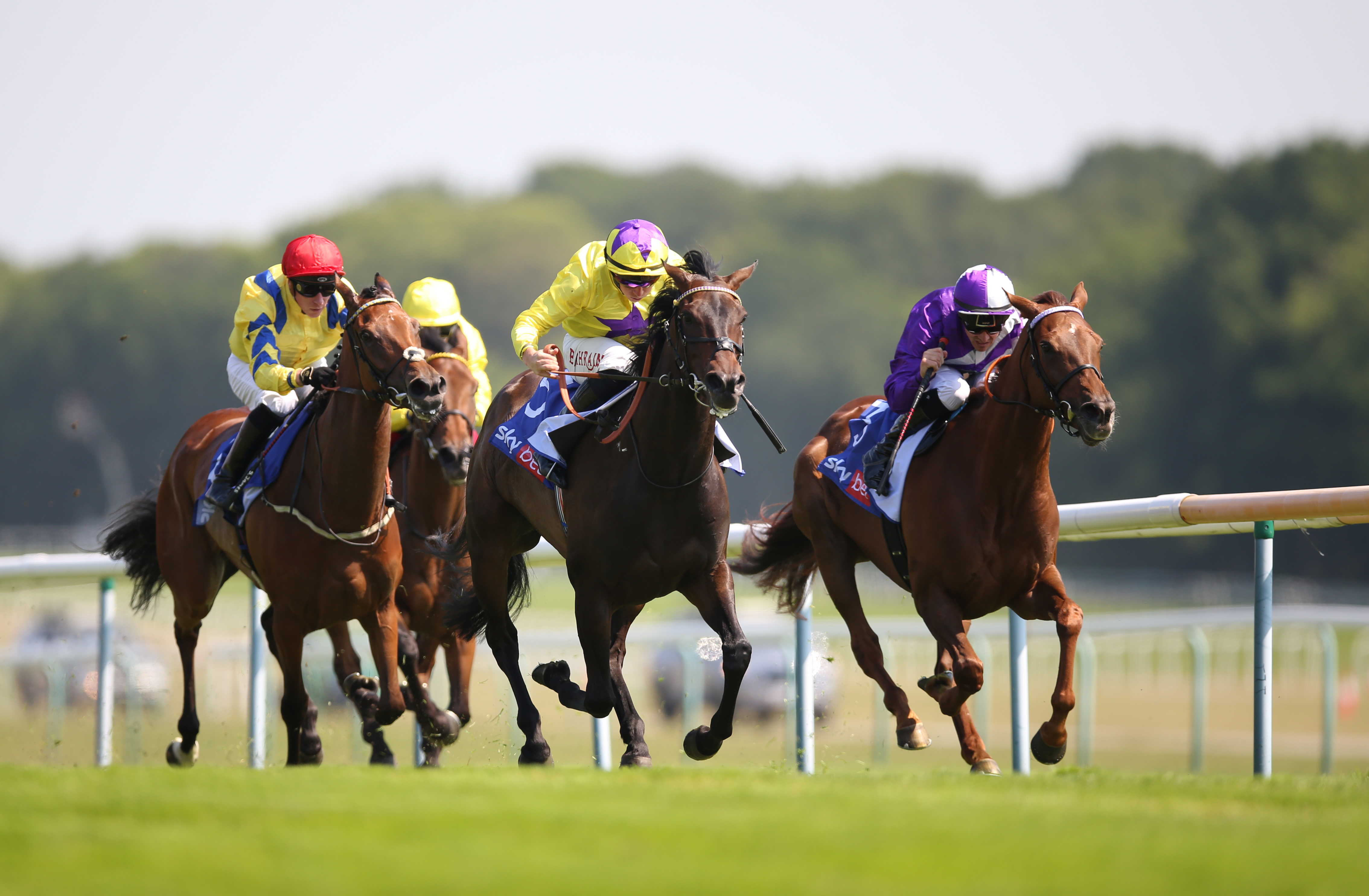 Sea Silk Road winning the Lester Piggott Stakes at Haydock