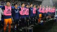 japan-cropped