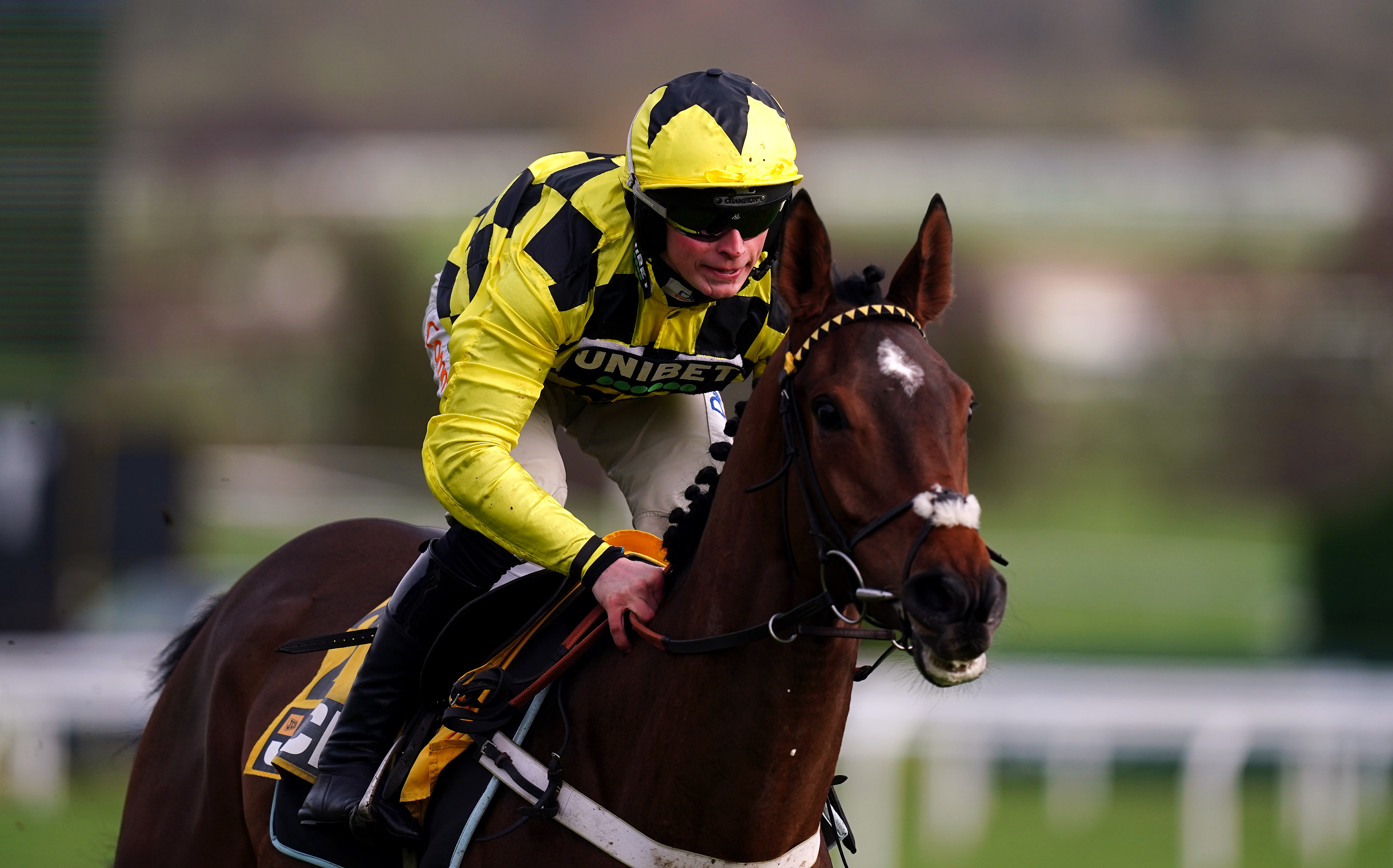 Sir Gino has been declared for the Triumph Hurdle