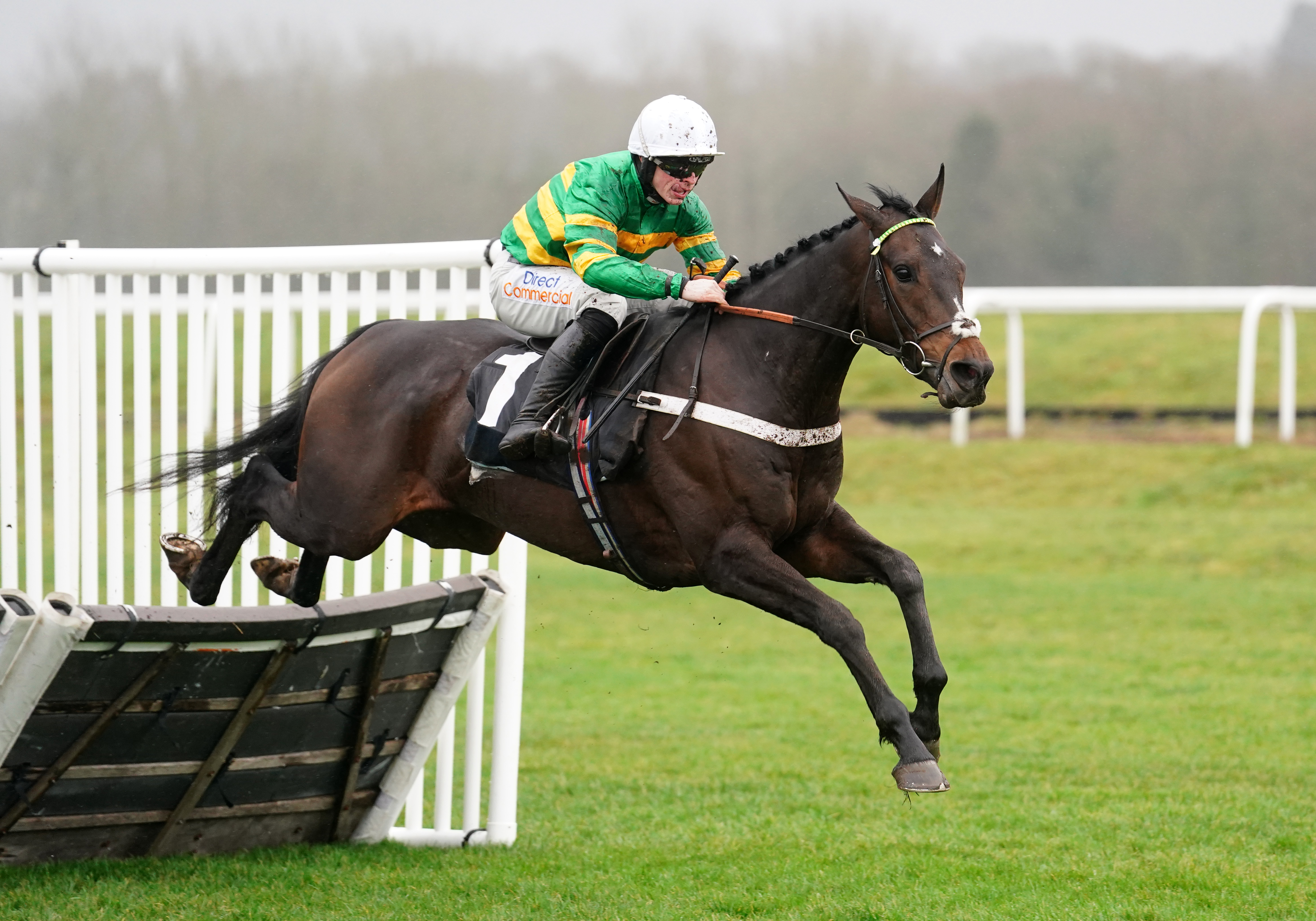 Newbury Races – Saturday December 30th
