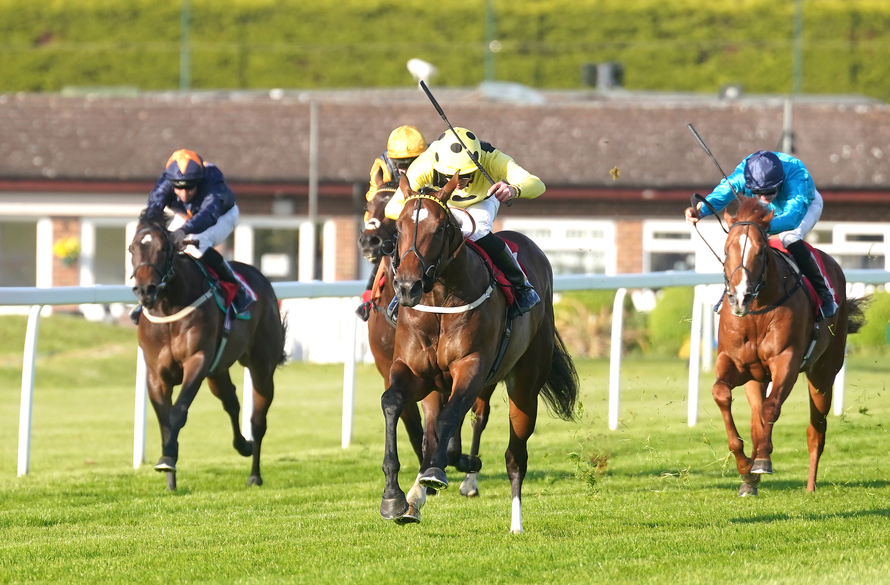 Elite Status winning the National Stakes at Sandown