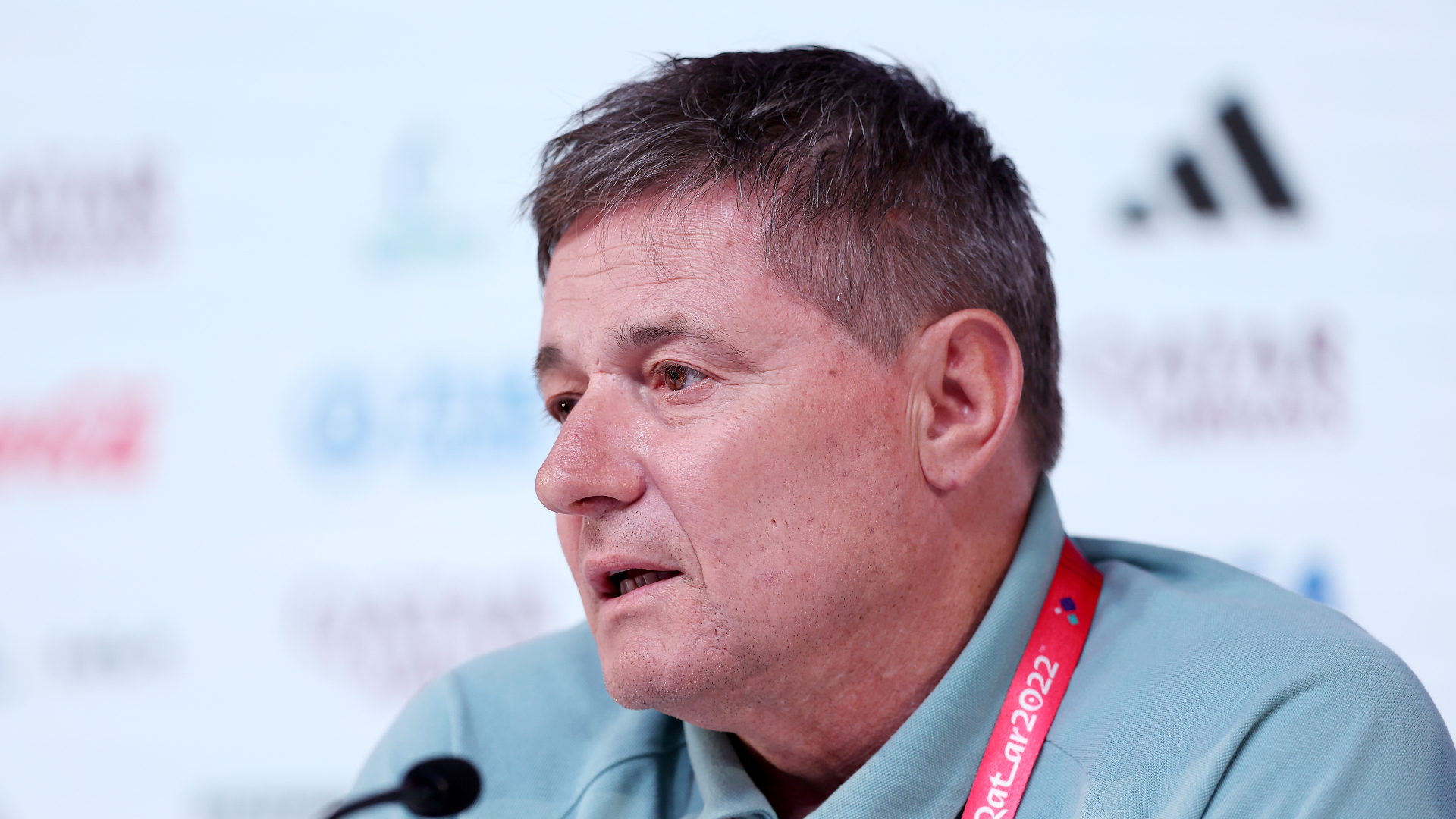 Dragan Stojkovic insists Serbia "will be ready" for Switzerland