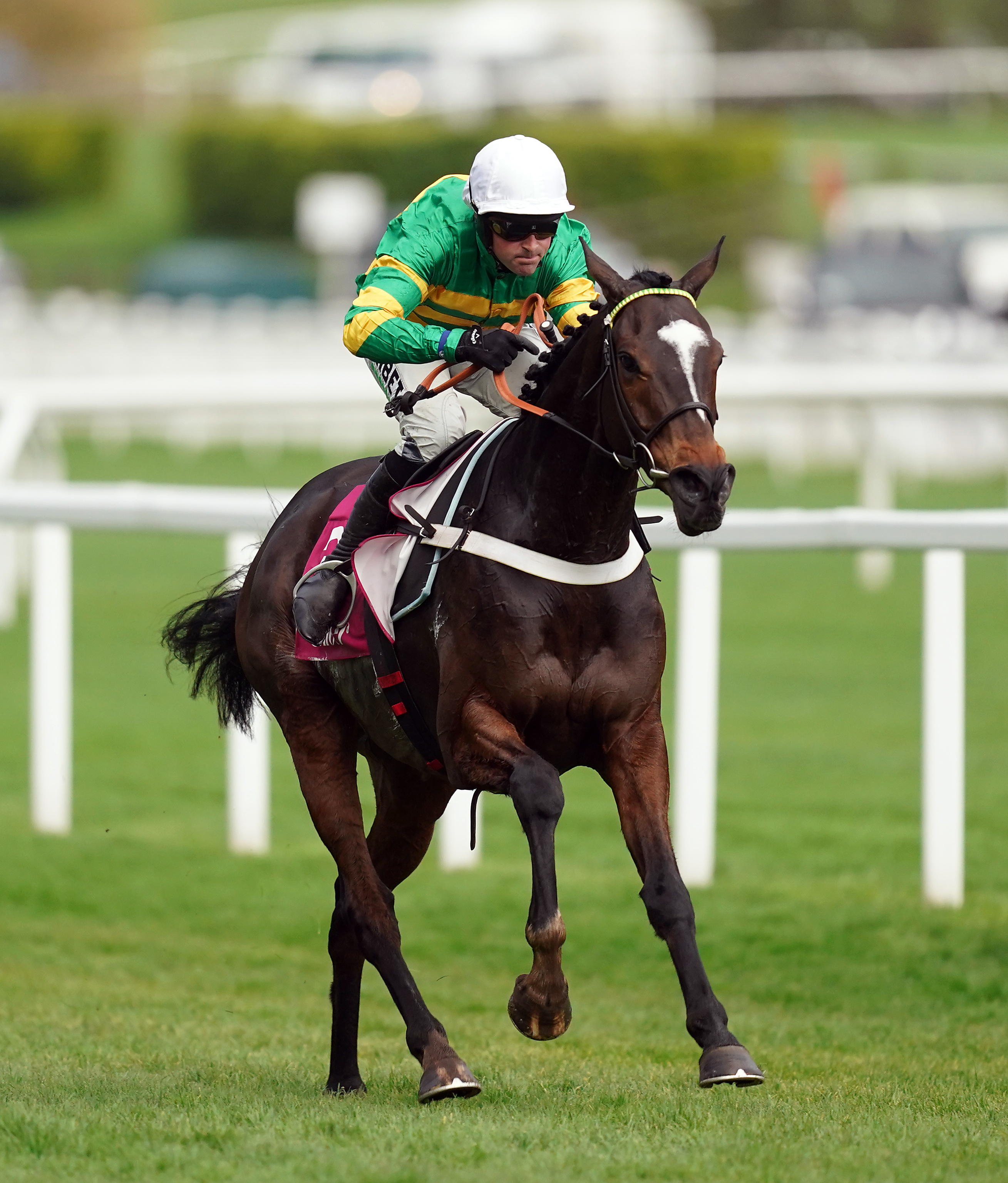 Jonbon winning the Shloer Chase