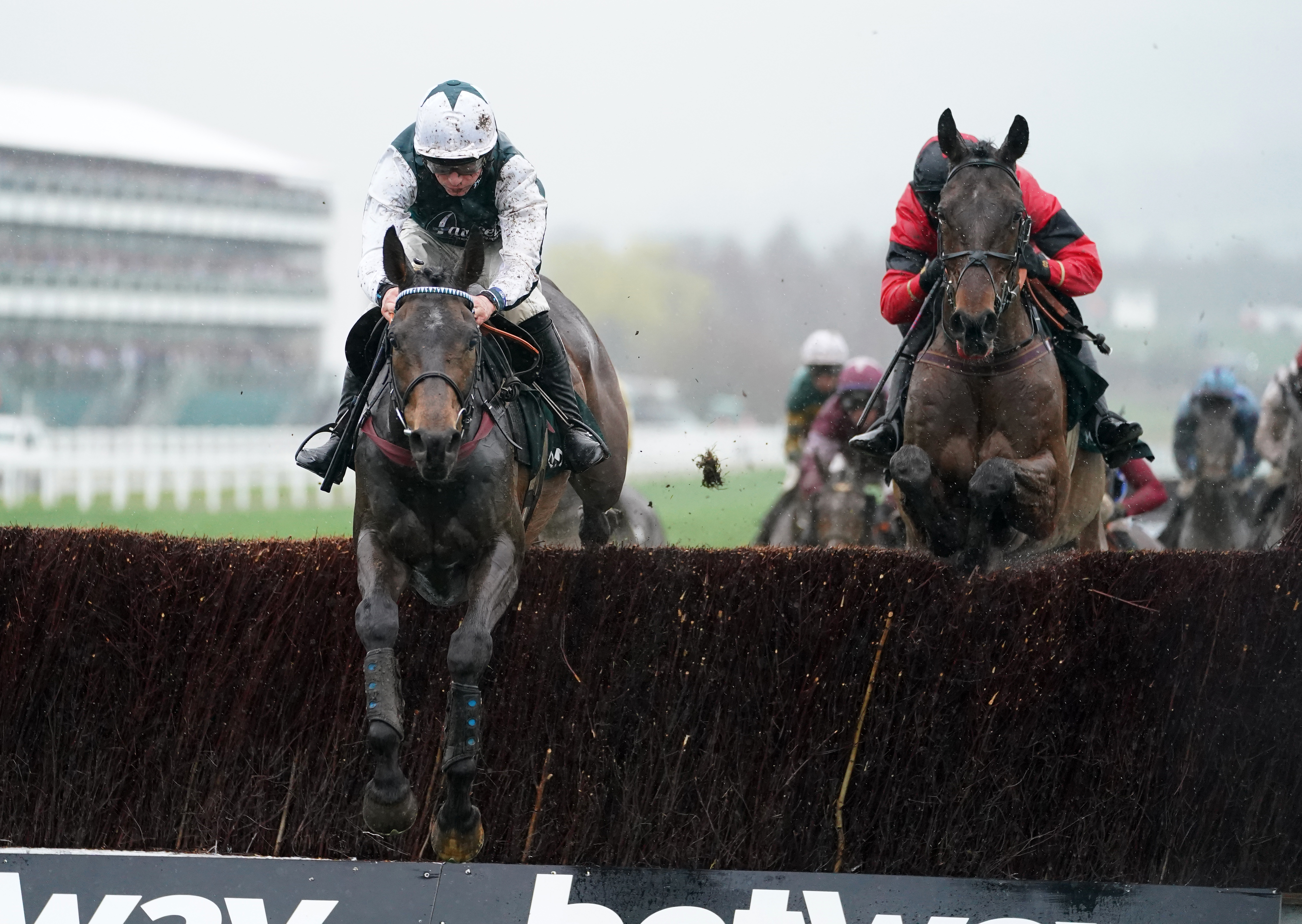 L’Homme Presse in action at Cheltenham