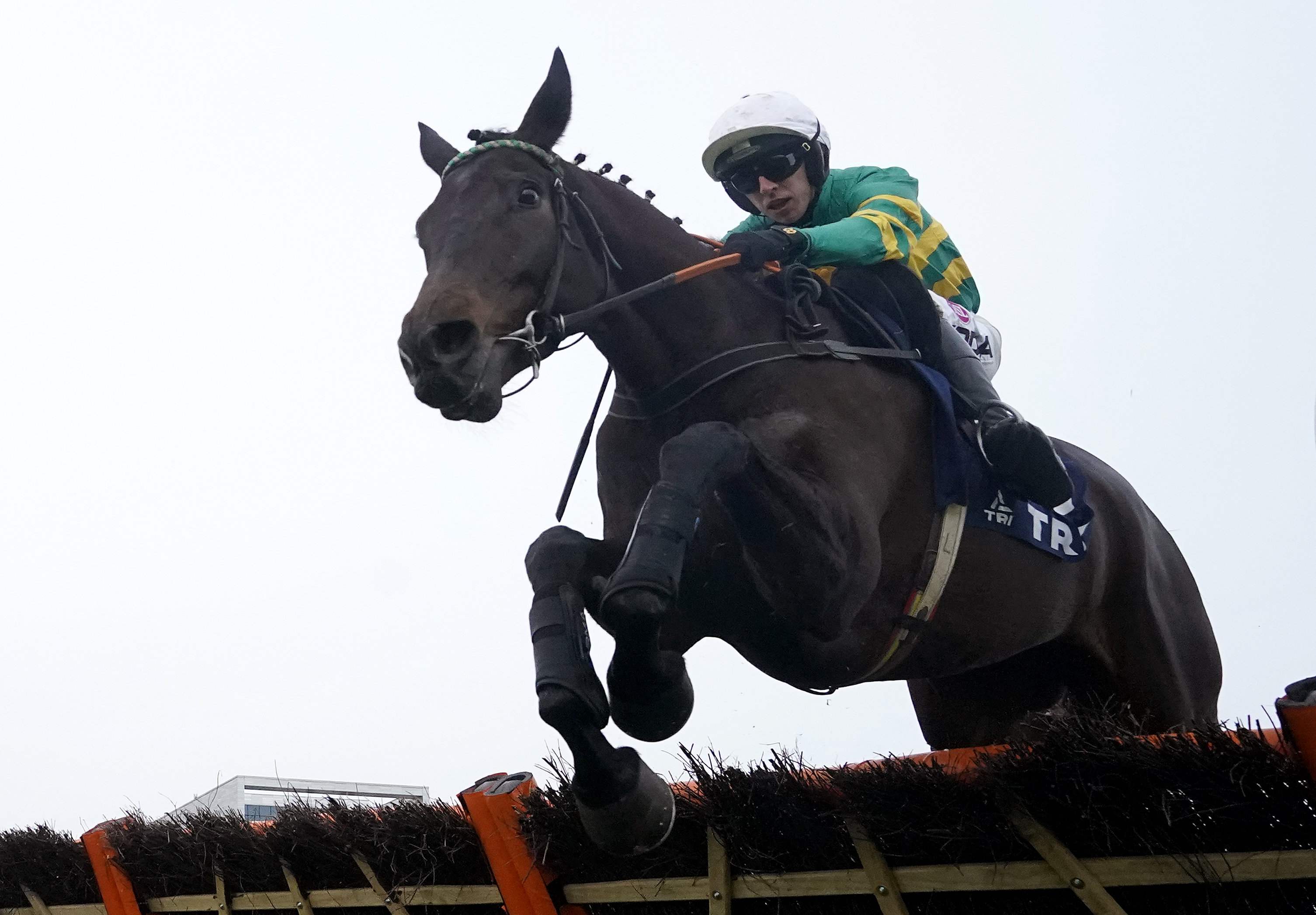 No Flies On Him in action at Leopardstown