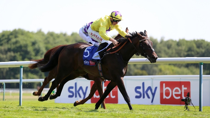 Sea Silk Road prevailed at Haydock (Nigel French/PA)