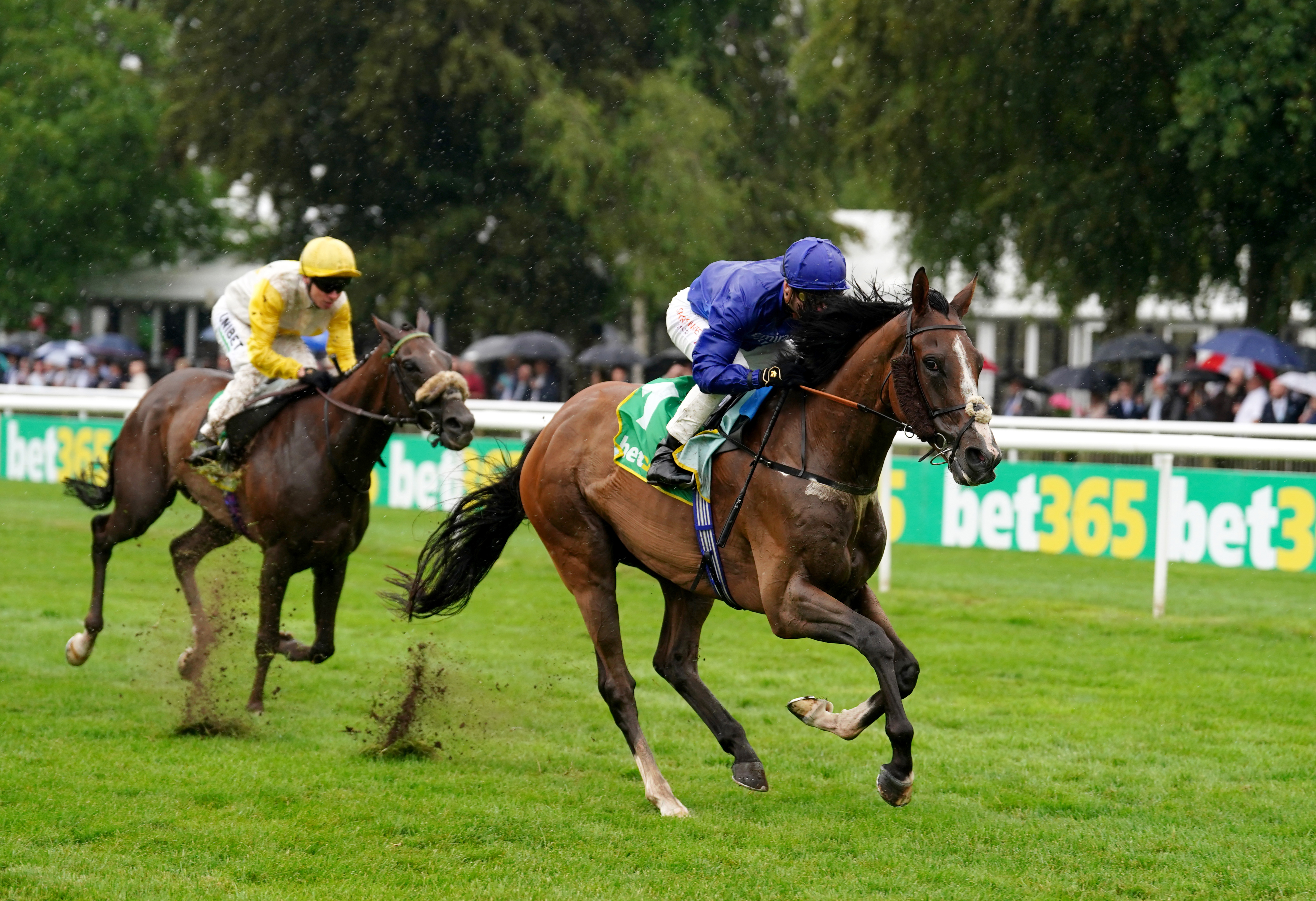 Live Your Dream and Kevin Stott coming home to win at Newmarket