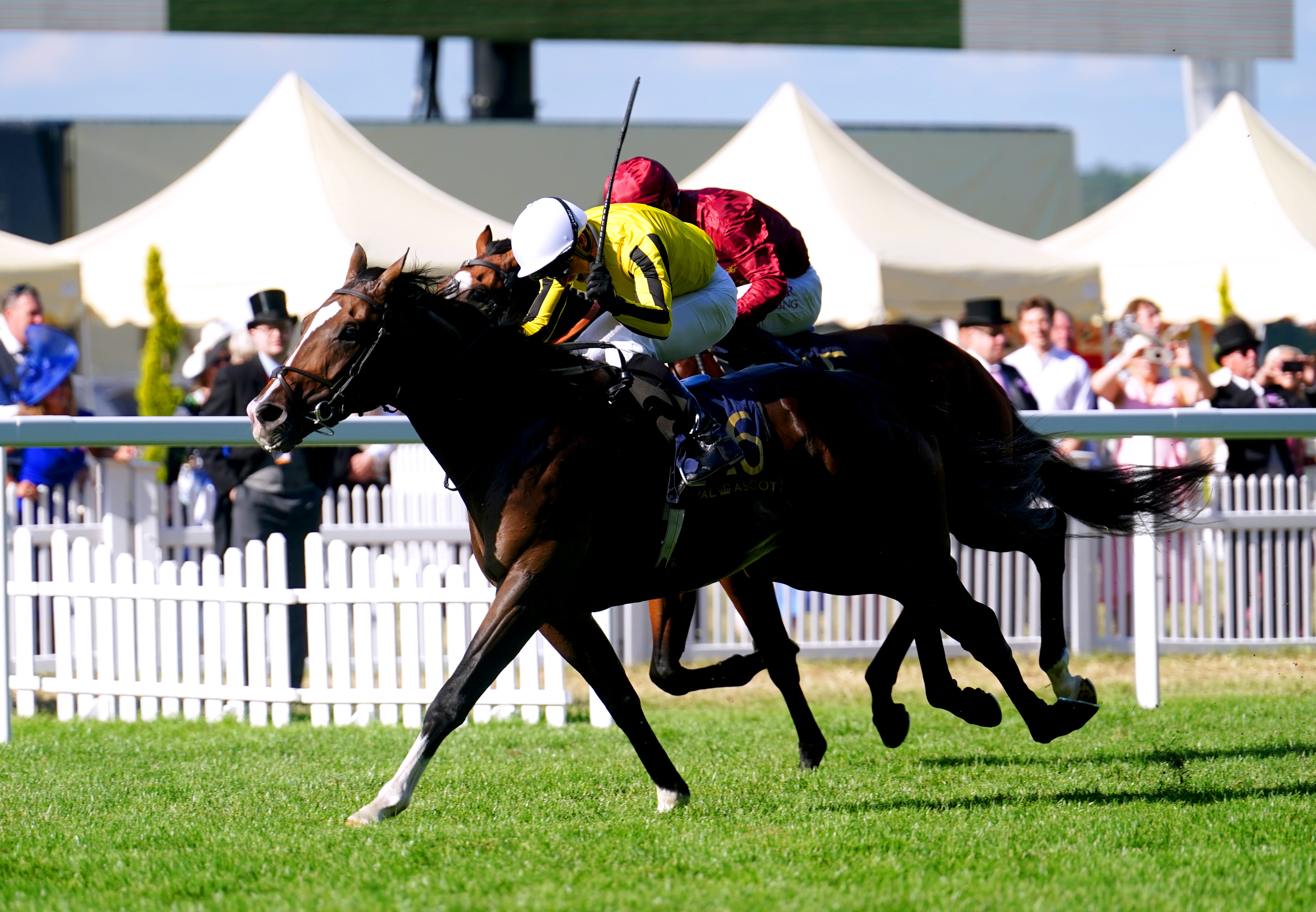 Burdett Road scoring on the Flat at Royal Ascot