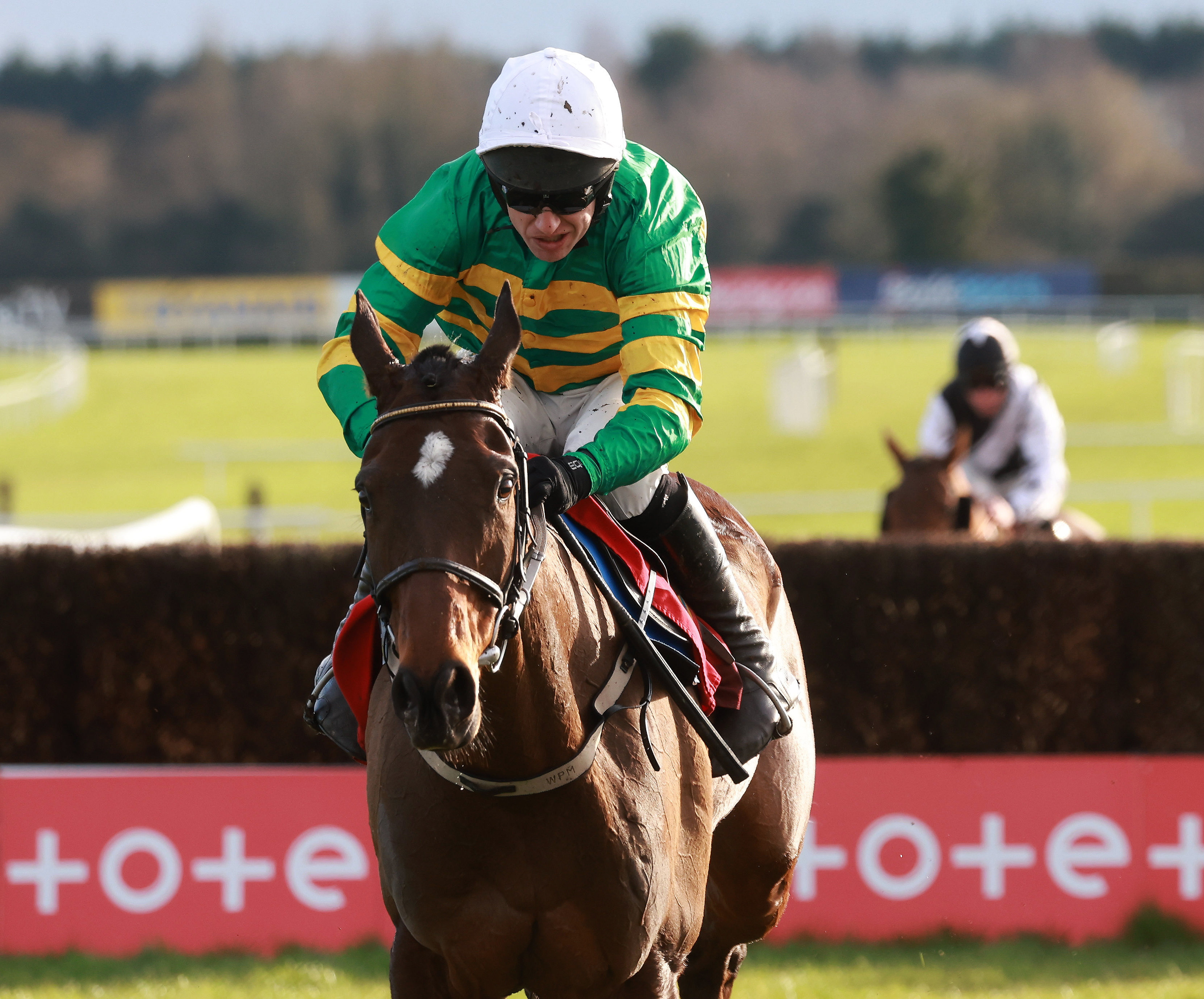 I Am Maximus arrives at Aintree having impressed at Fairyhouse