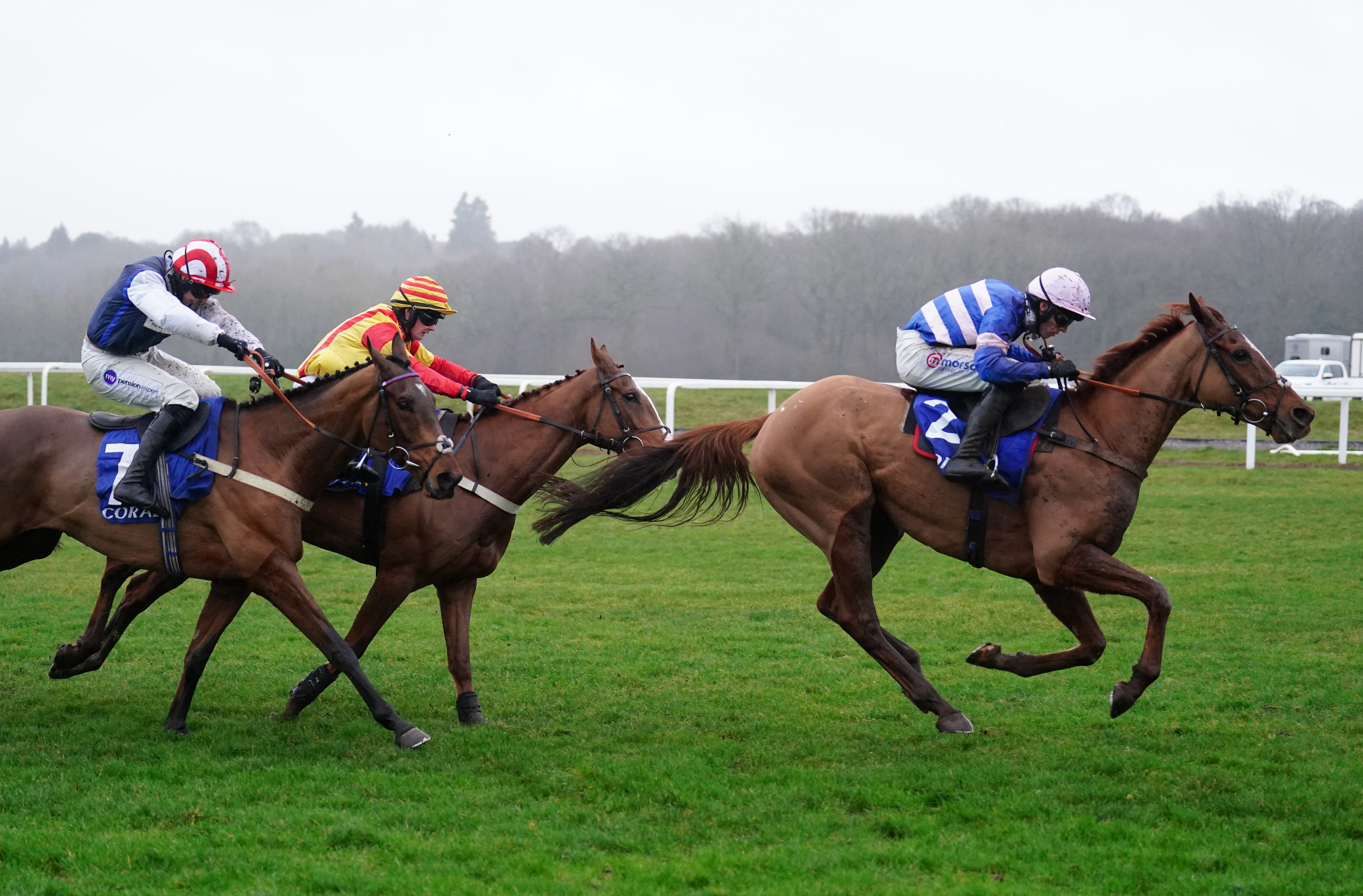 Captain Teague had some nice novices behind him at Newbury