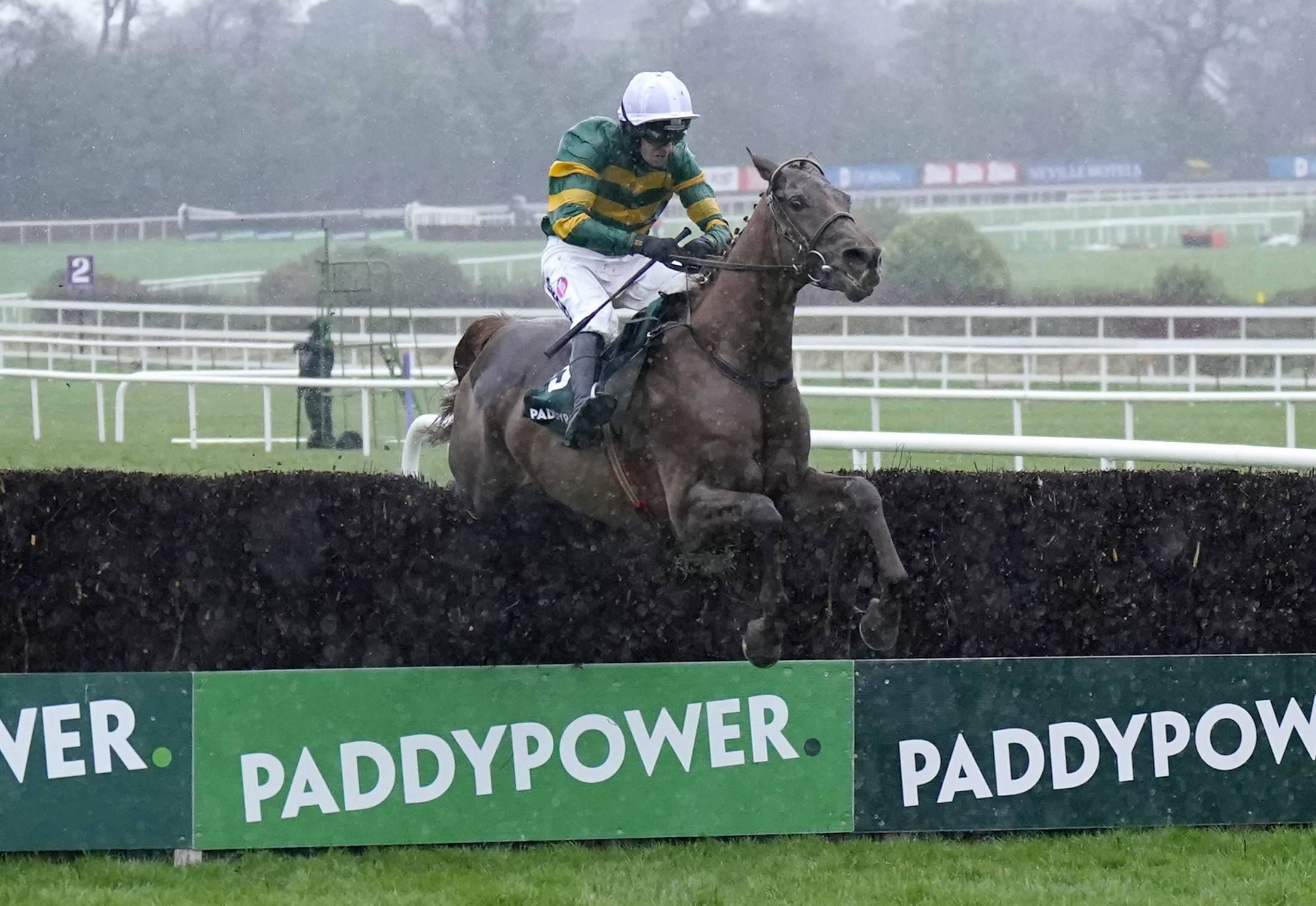 Dinoblue is regarded as a big danger