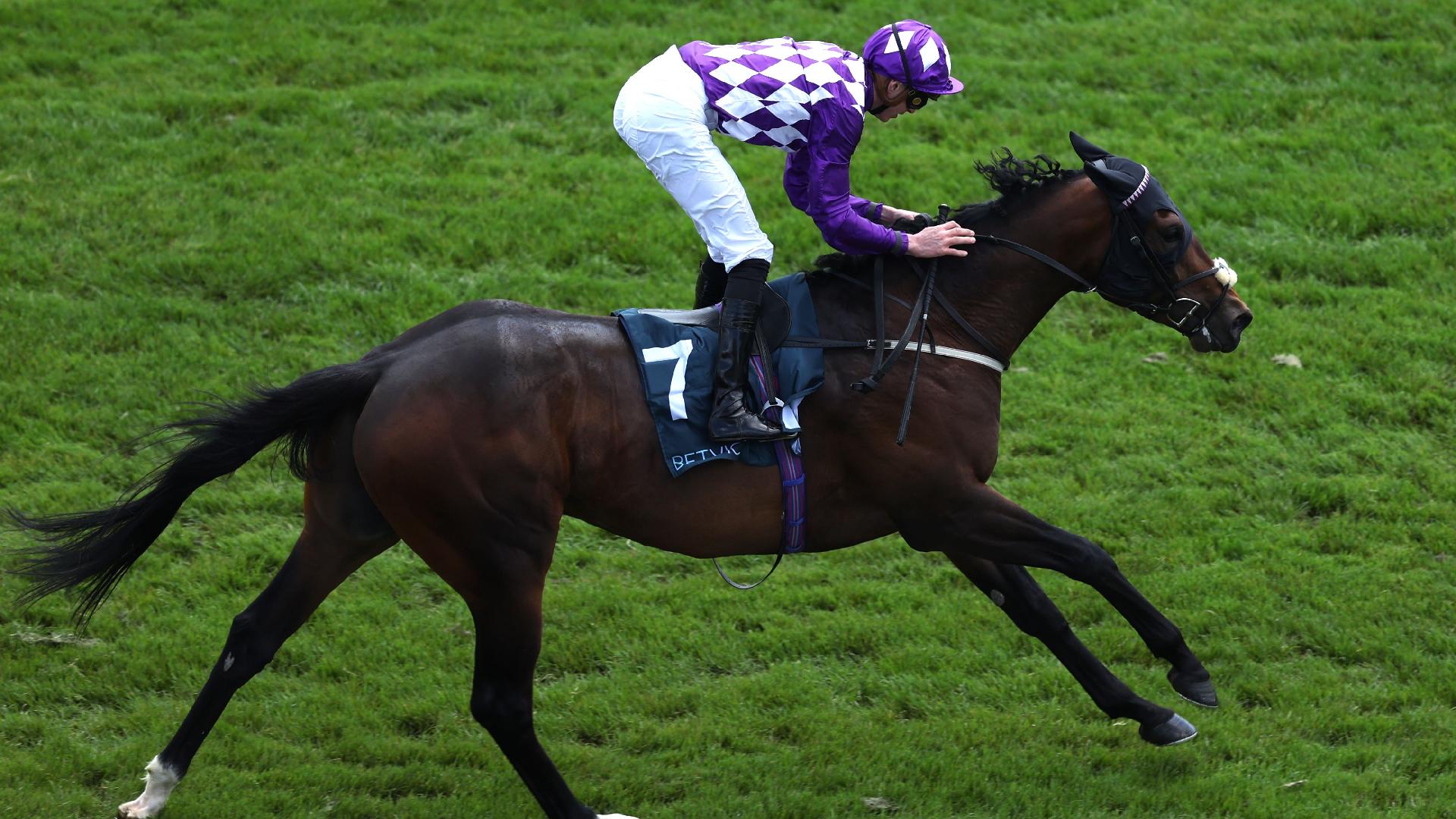 James Doyle delighted to get back on Shaquille in Sprint Cup