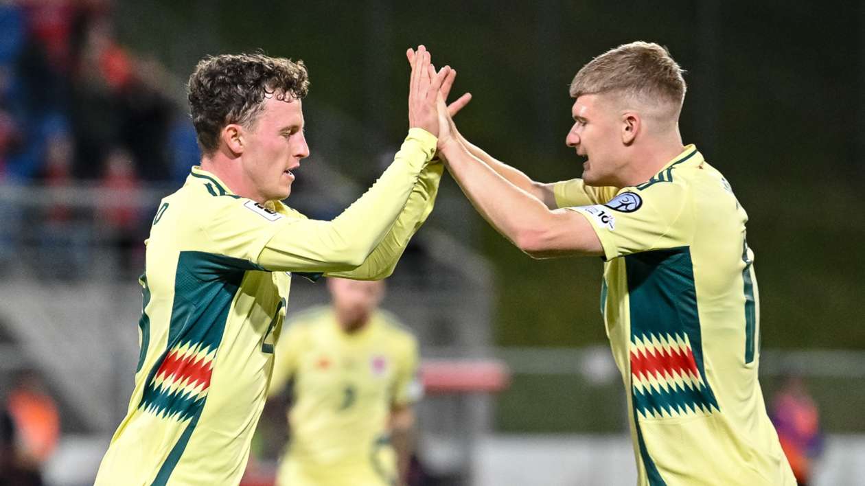 Liechtenstein 0-1 Wales: James keeps Bellamy's side in hunt for World Cup play-off spot