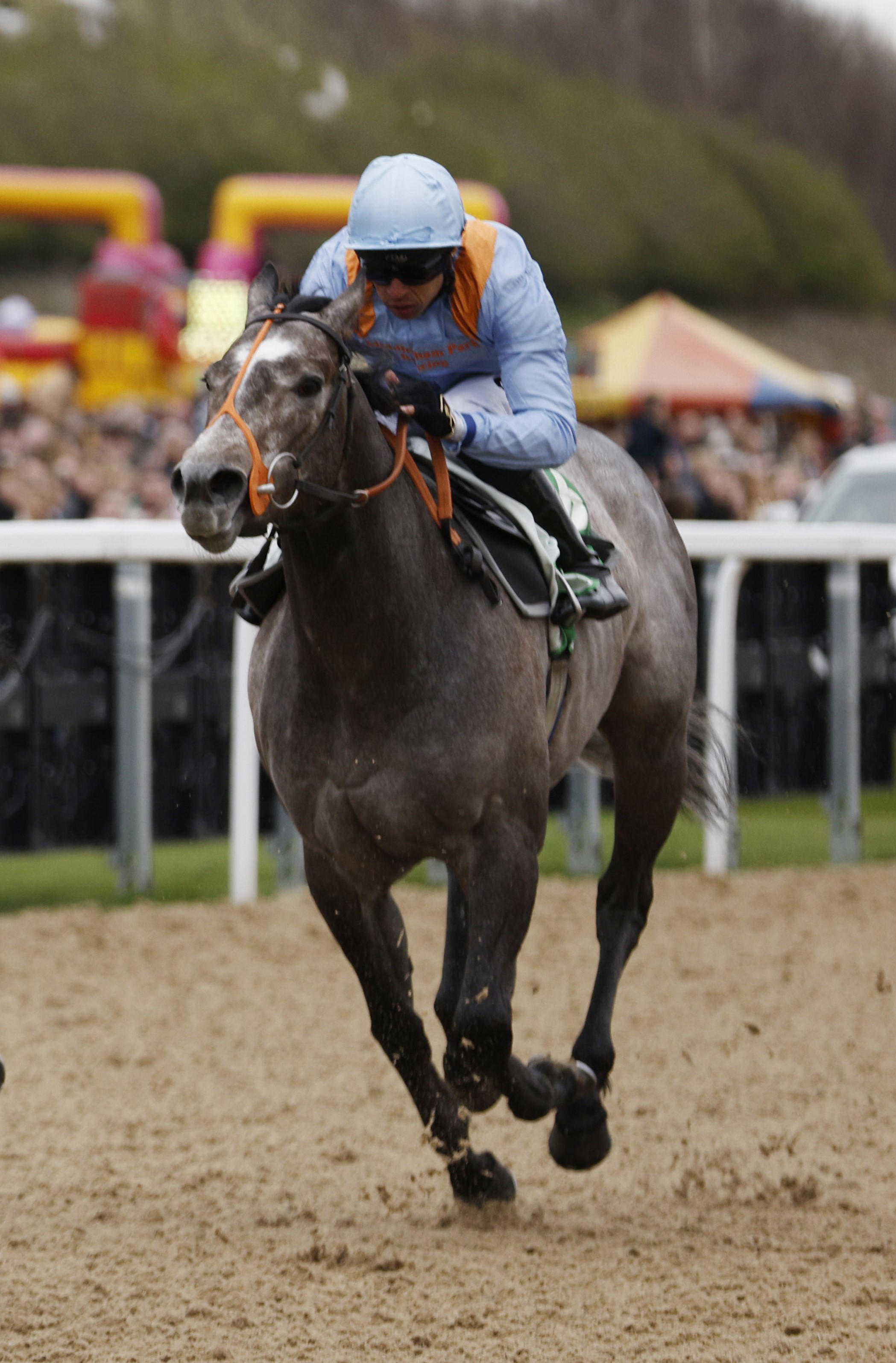 Shouldvebeenaring could return at Wolverhampton