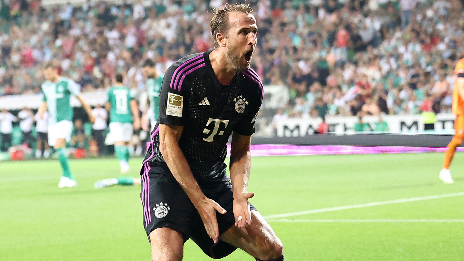 Redknapp: 'World's best striker' Kane can fire Bayern to Champions League glory