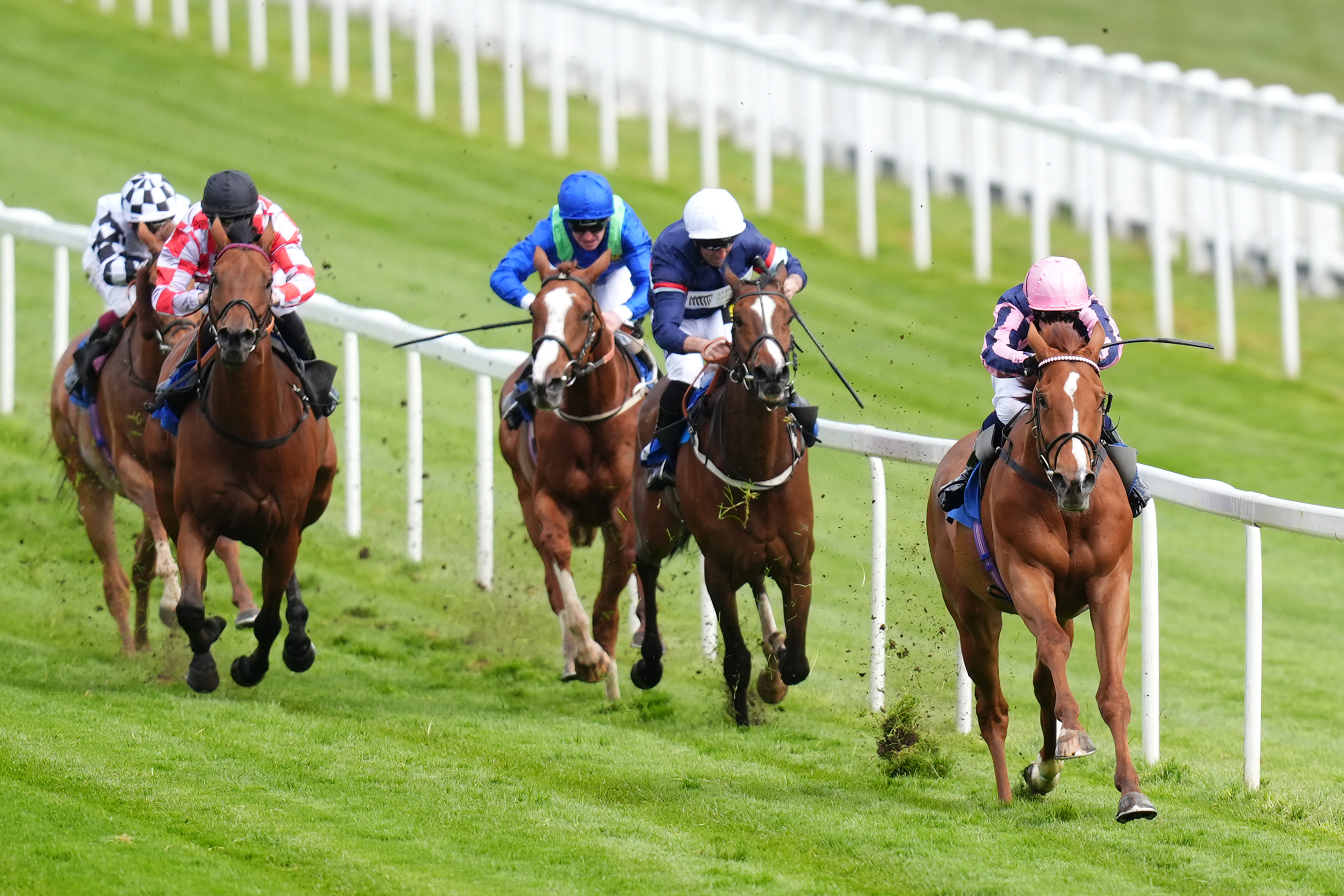 Crystal Delight was an easy winner for Harry Eustace