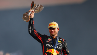 Verstappen thrilled with 'rollercoaster' year despite missing out on F1 title