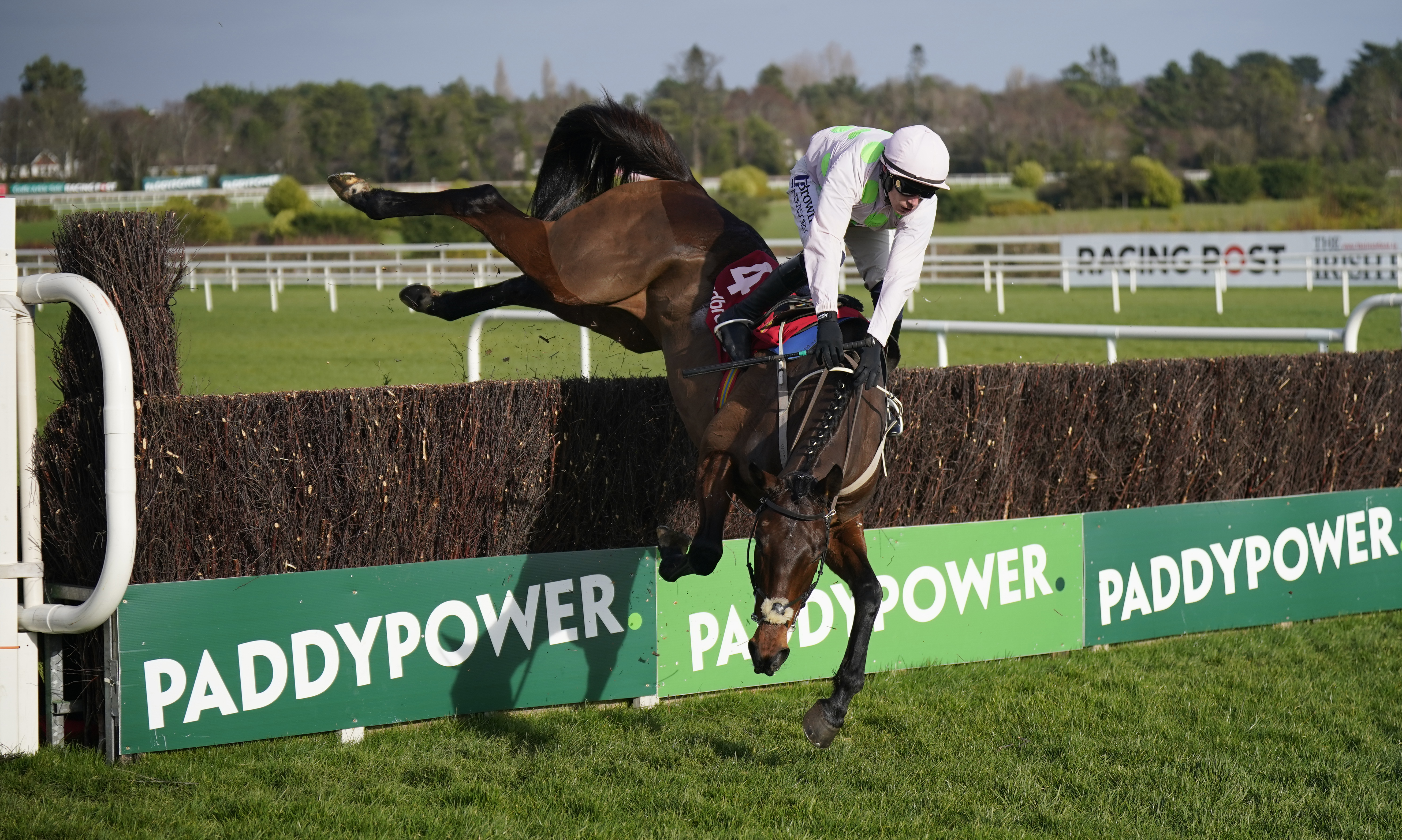 Paul Townend falls from Gaelic Warrior at the last in the Ladbrokes Novice Chase during day two of the 2024 Dublin Racing Festival