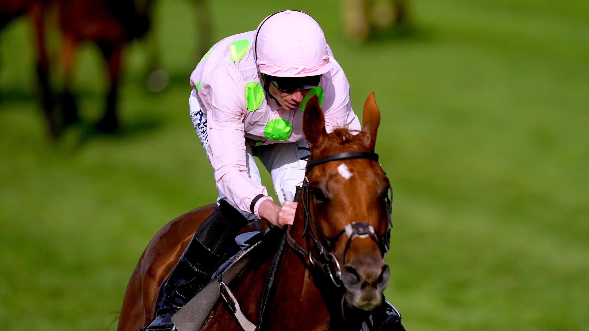 Course-winner Vauban could give Willie Mullins a first win in the Ascot Gold Cup
