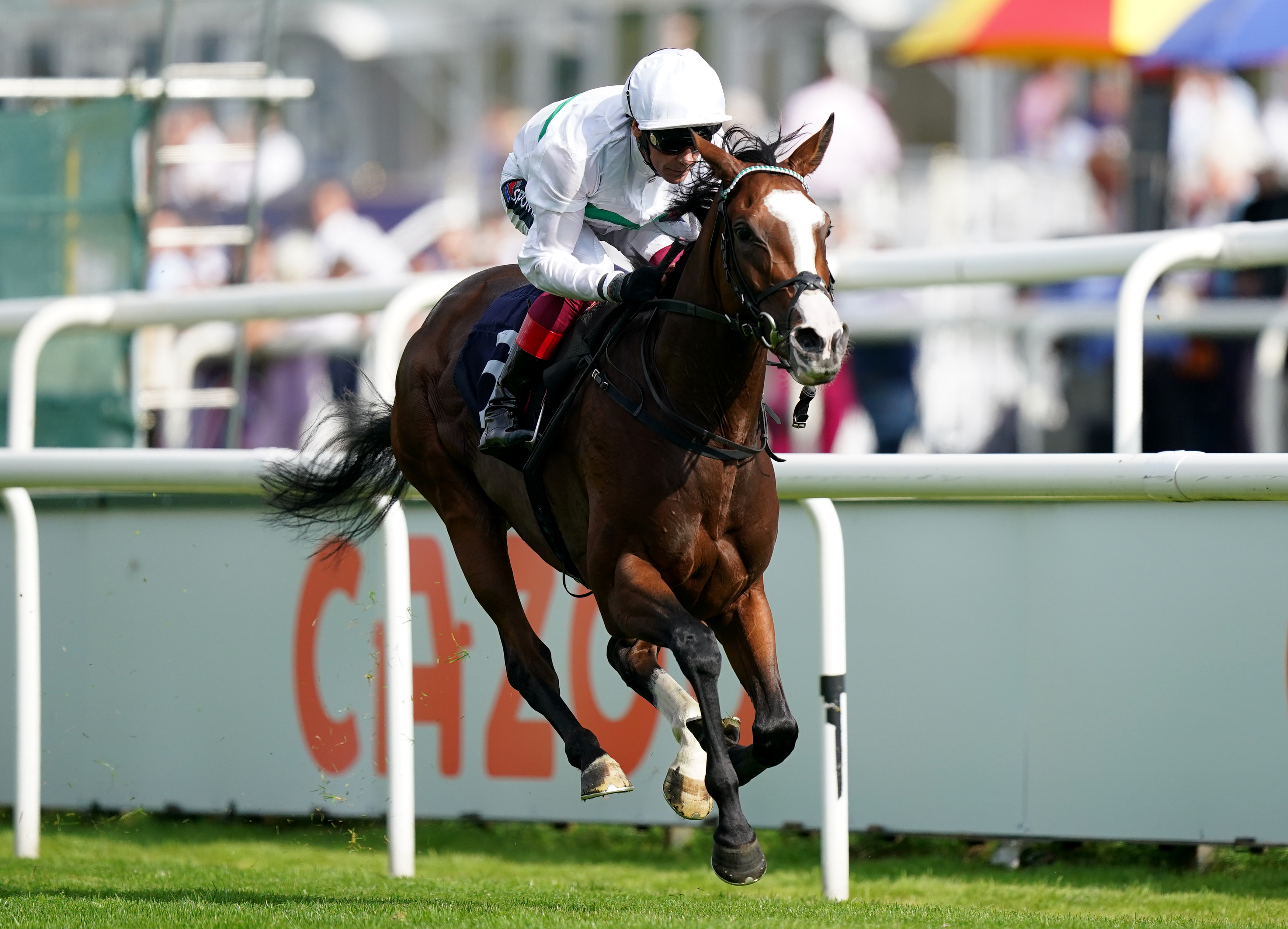 Free Wind makes her first start of the year at York