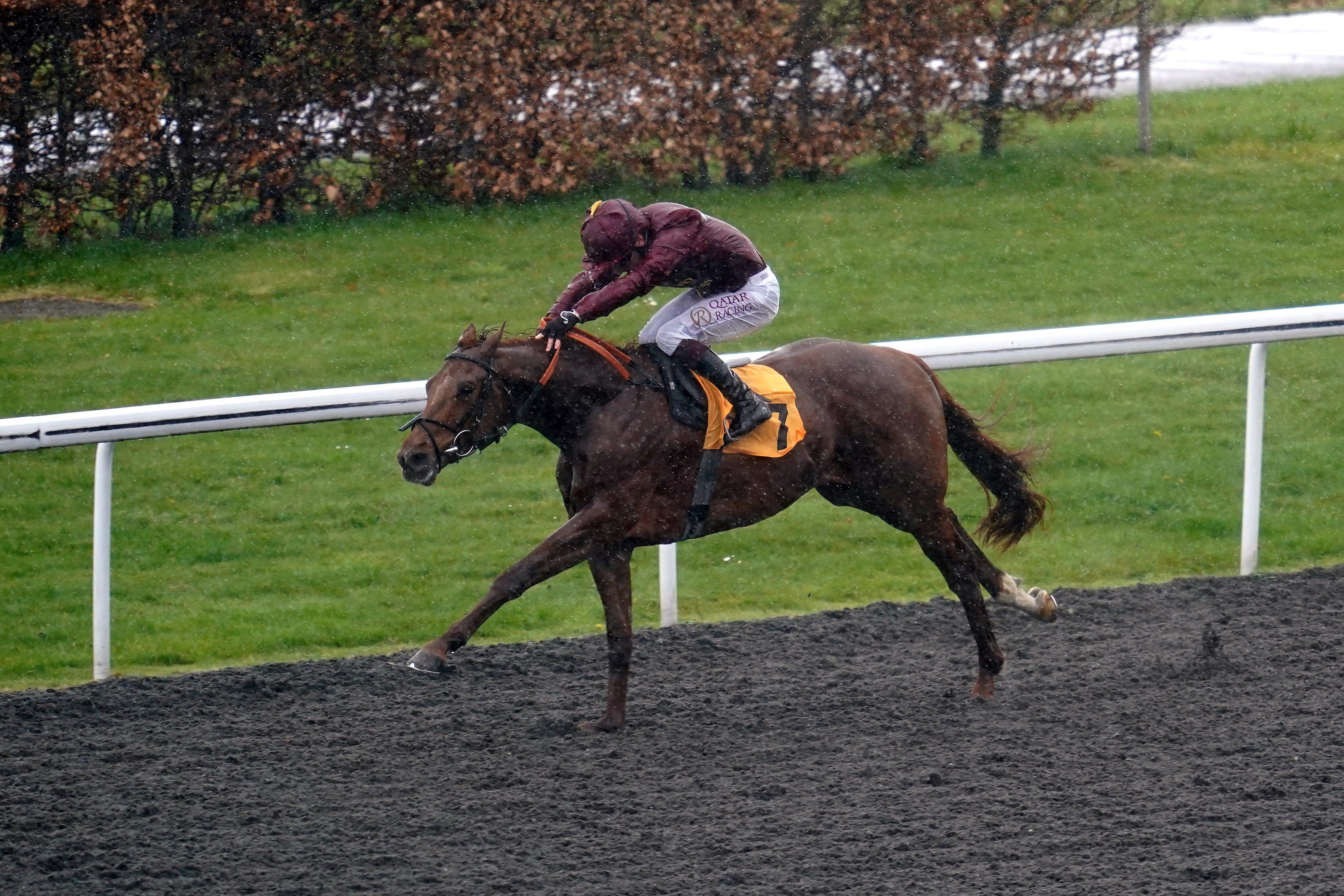 Palace Green looks a smart prospect