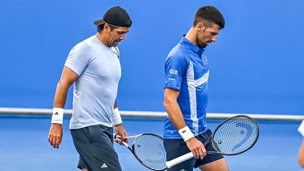 Djokovic and Verdasco beaten in Spaniard's farewell match