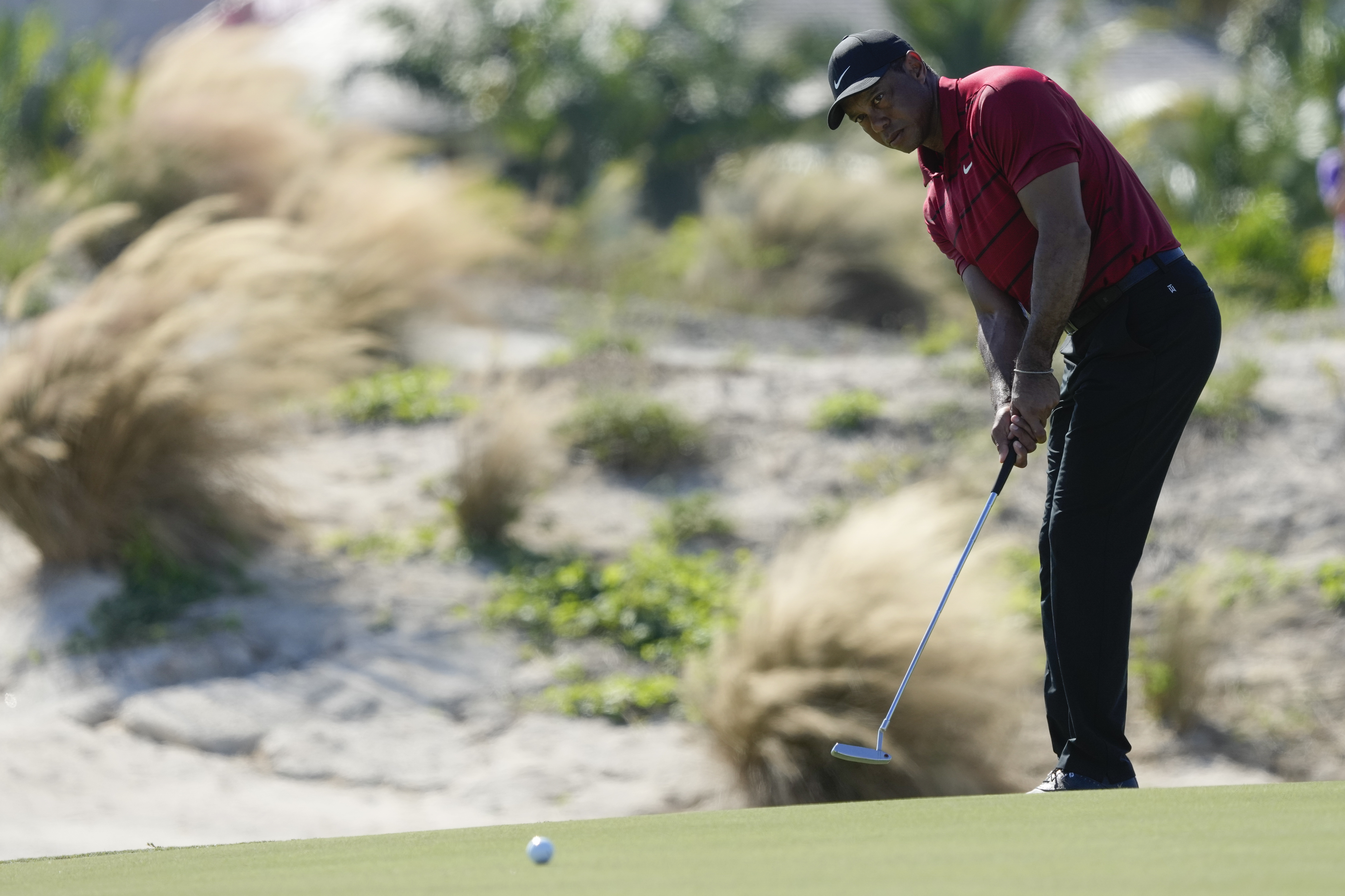 Tiger Woods