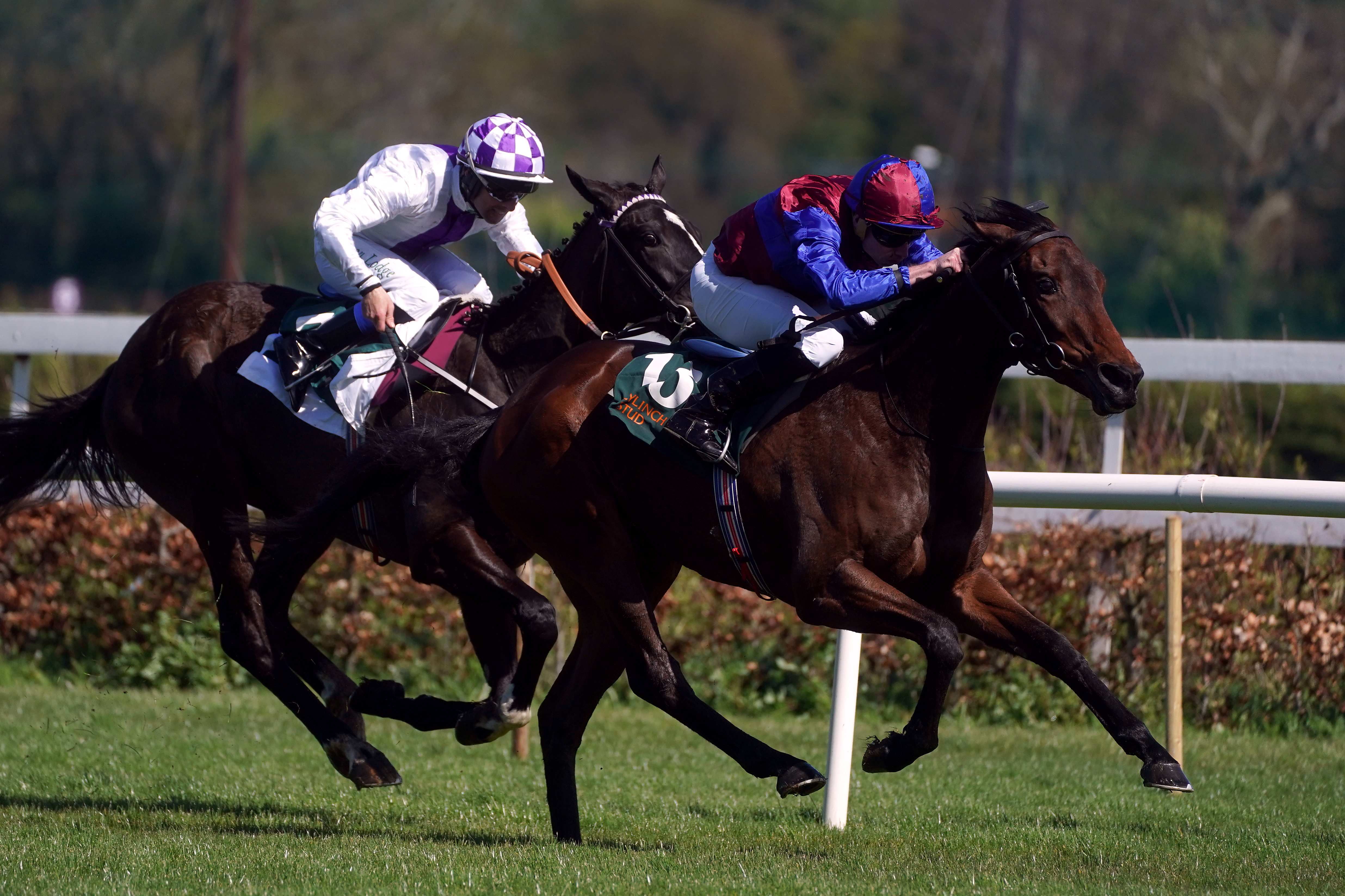 Wingspan quickened up nicely for Ryan Moore