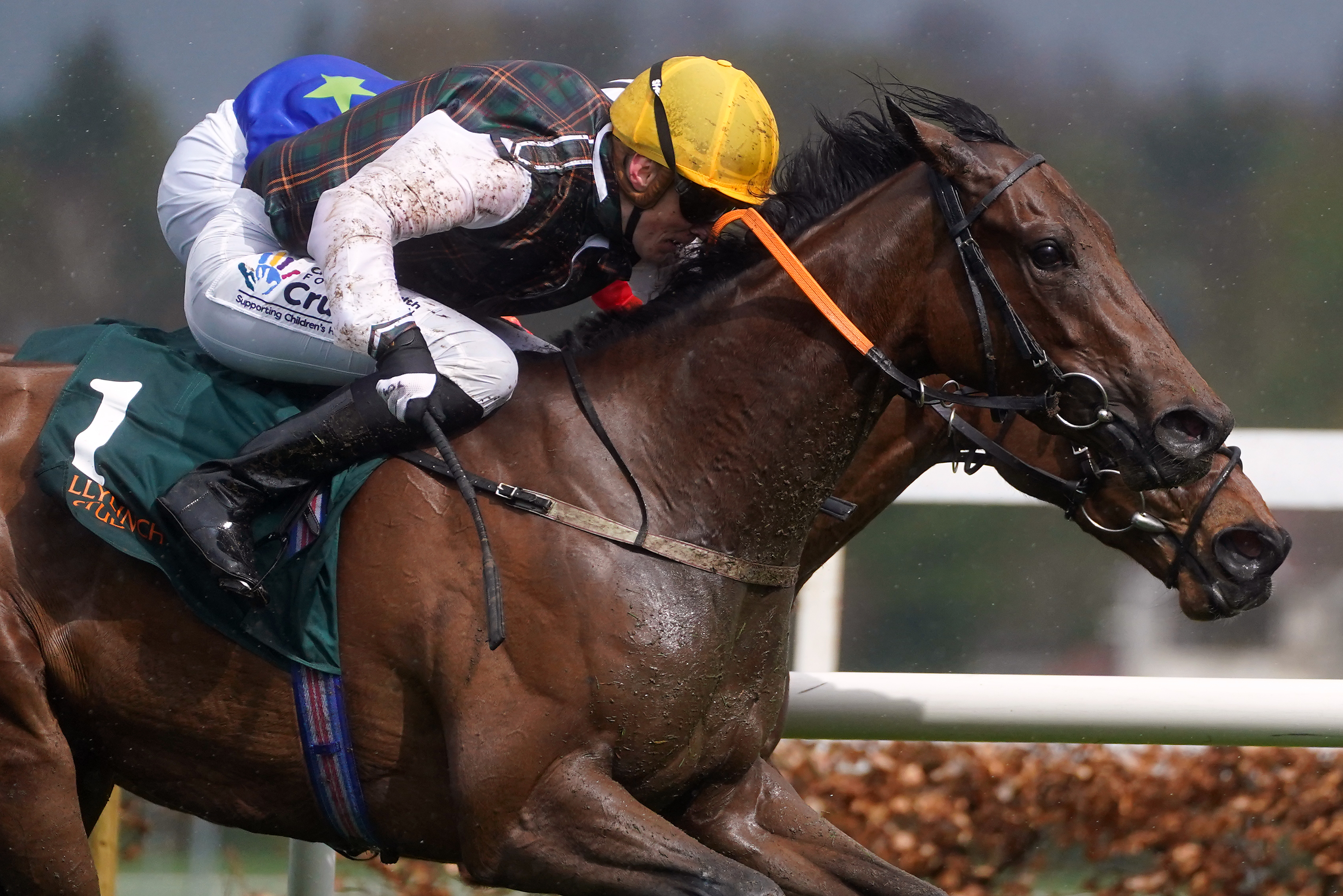 A Lilac Rolla just edged victory