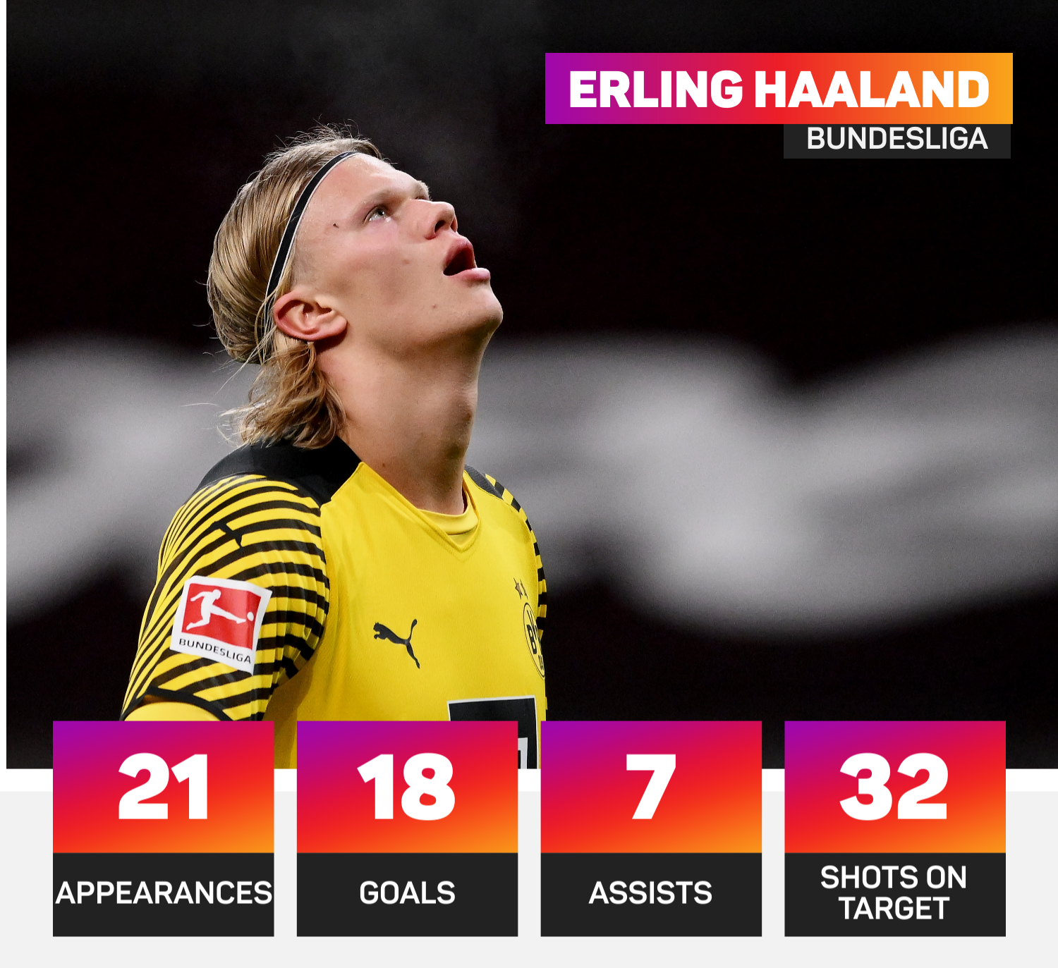 Erling Haaland