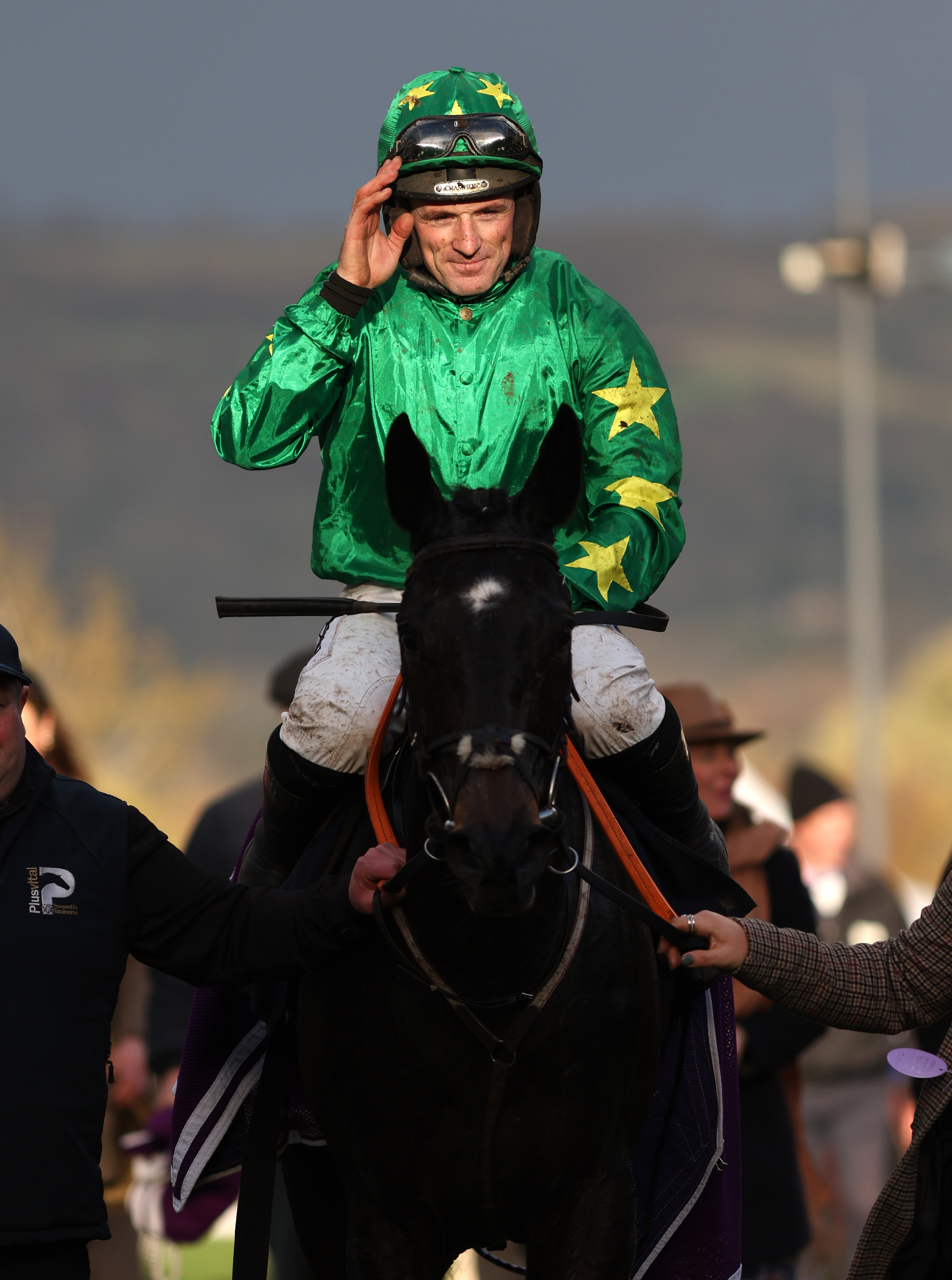 Malina Girl returning victorious at Cheltenham