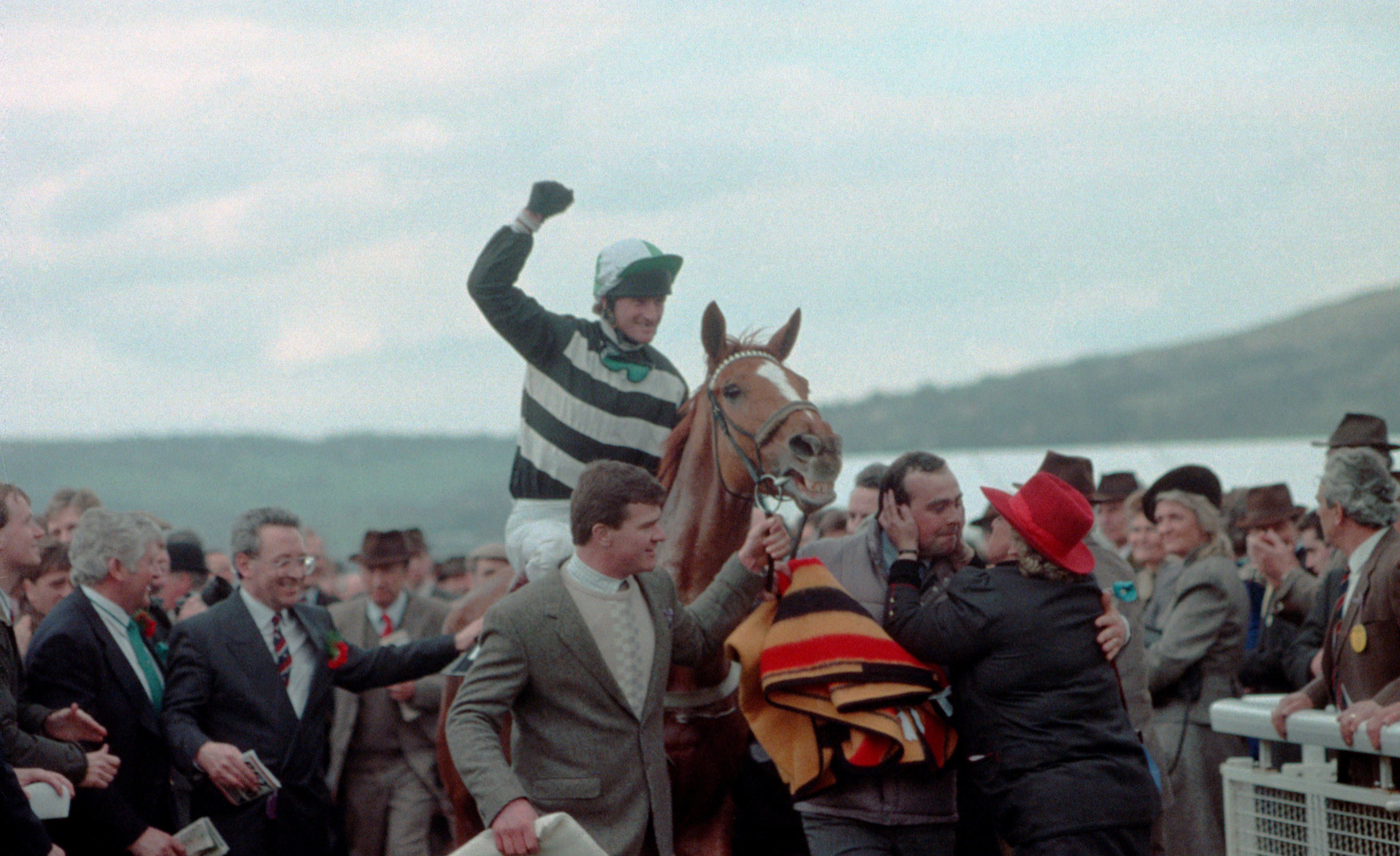 Horse Racing – Cheltenham Gold Cup – Norton’s Coin – 1990