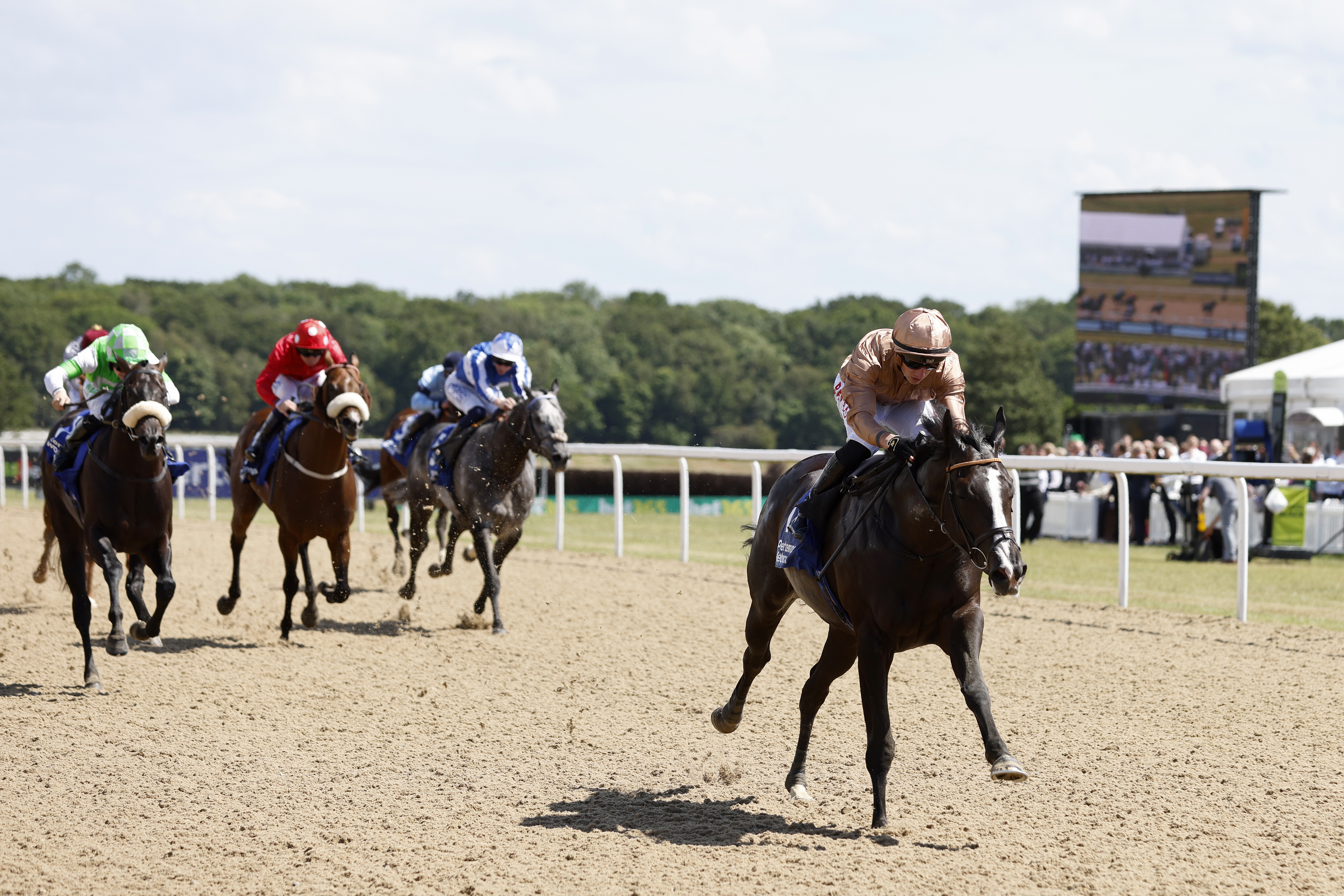 Sense Of Duty was most impressive when last seen at Newcastle