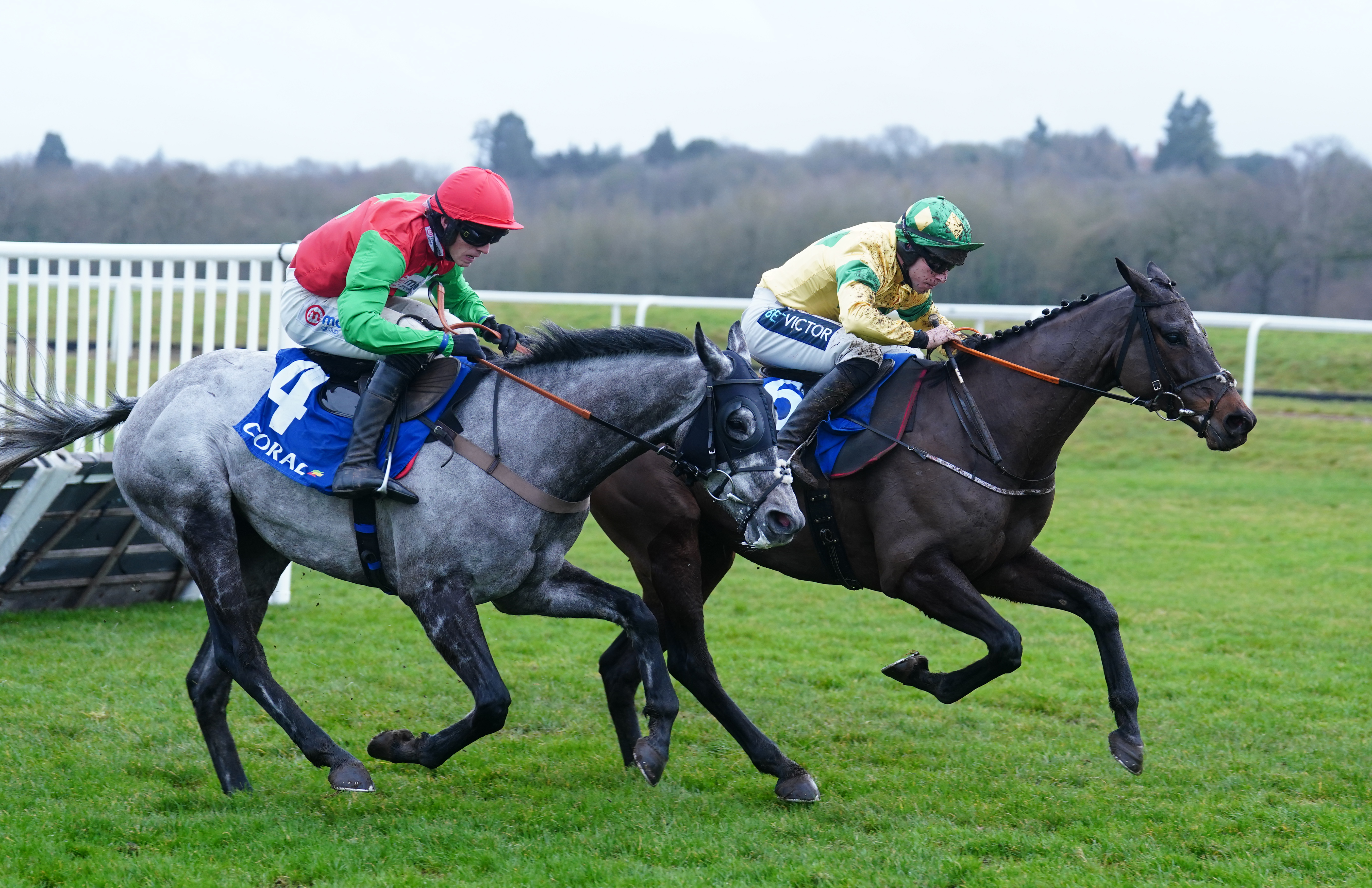 Rambo T (right) winning the Coral Racing Club Join For Free Handicap Hurdle at Newbury