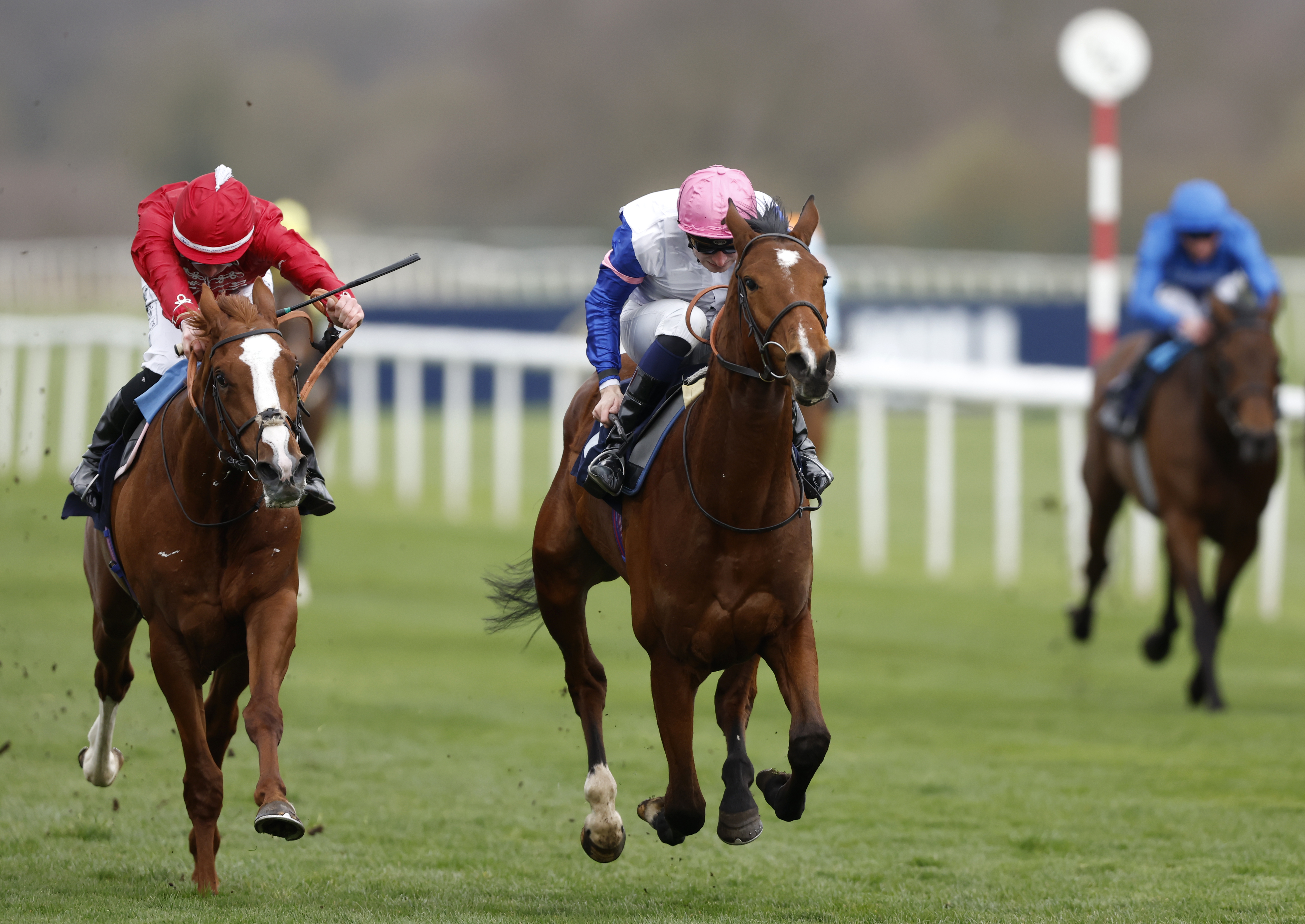 Moon Over Miami impressed at Doncaster