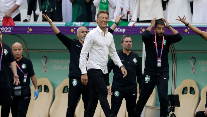 Saudi Arabia coach Herve Renard