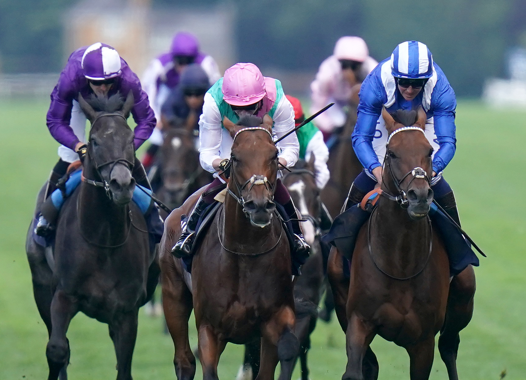 Hukum (right) winning the King George VI And Queen Elizabeth Stakes at Ascot