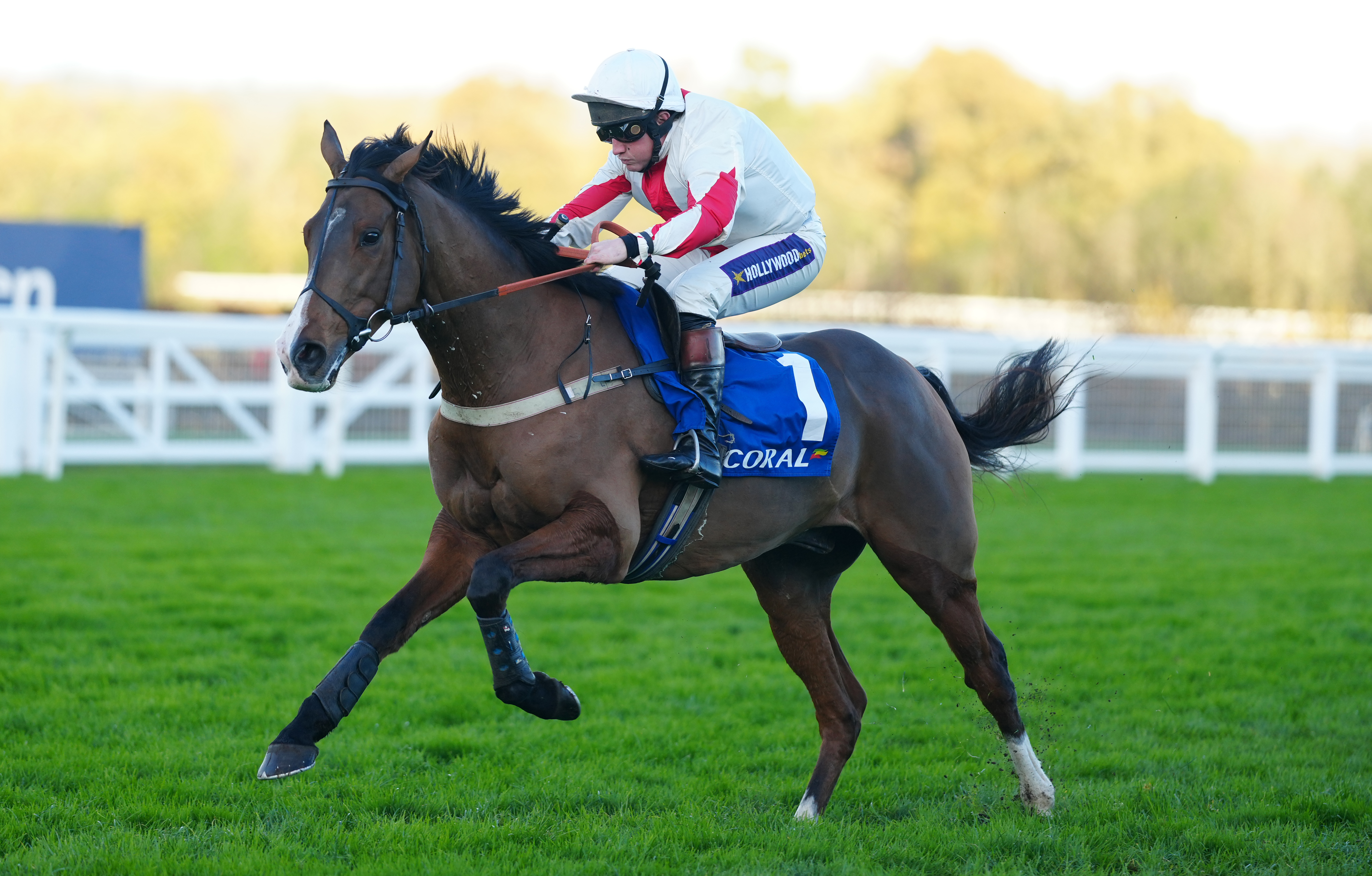 Jamie Moore will miss out on yet another chance to partner Goshen