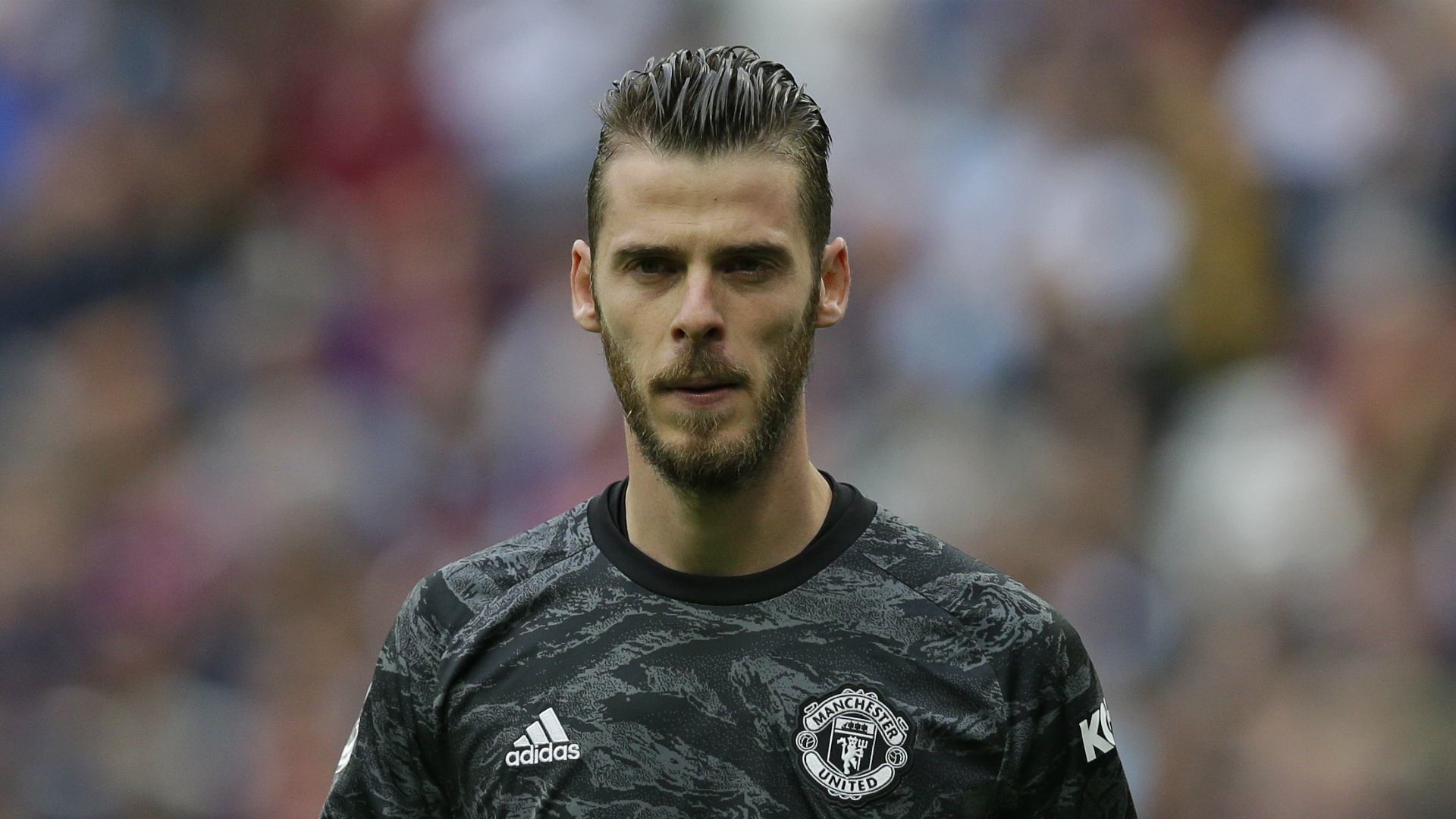 David de Gea - cropped