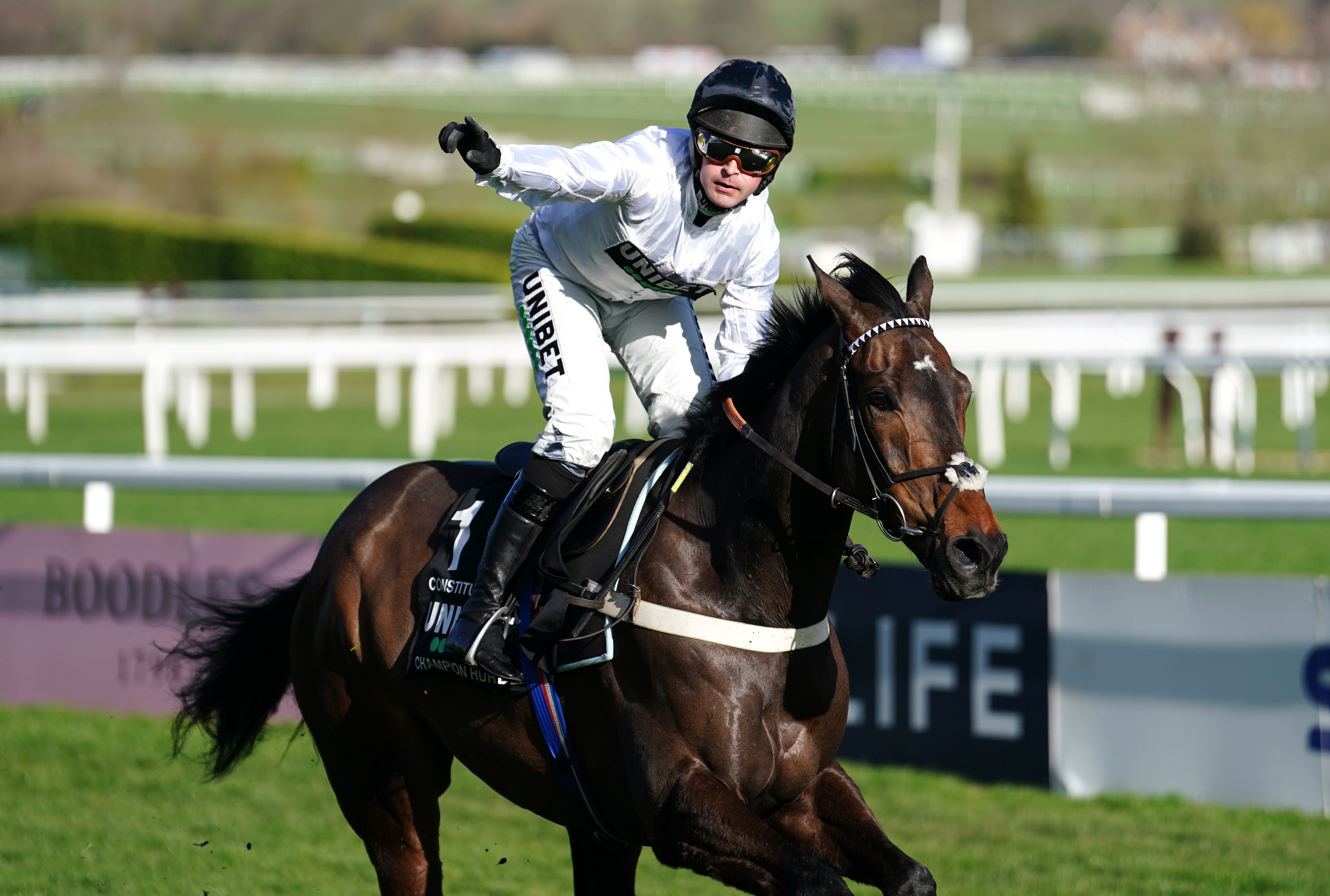 Constitution Hill winning the Champion Hurdle last season